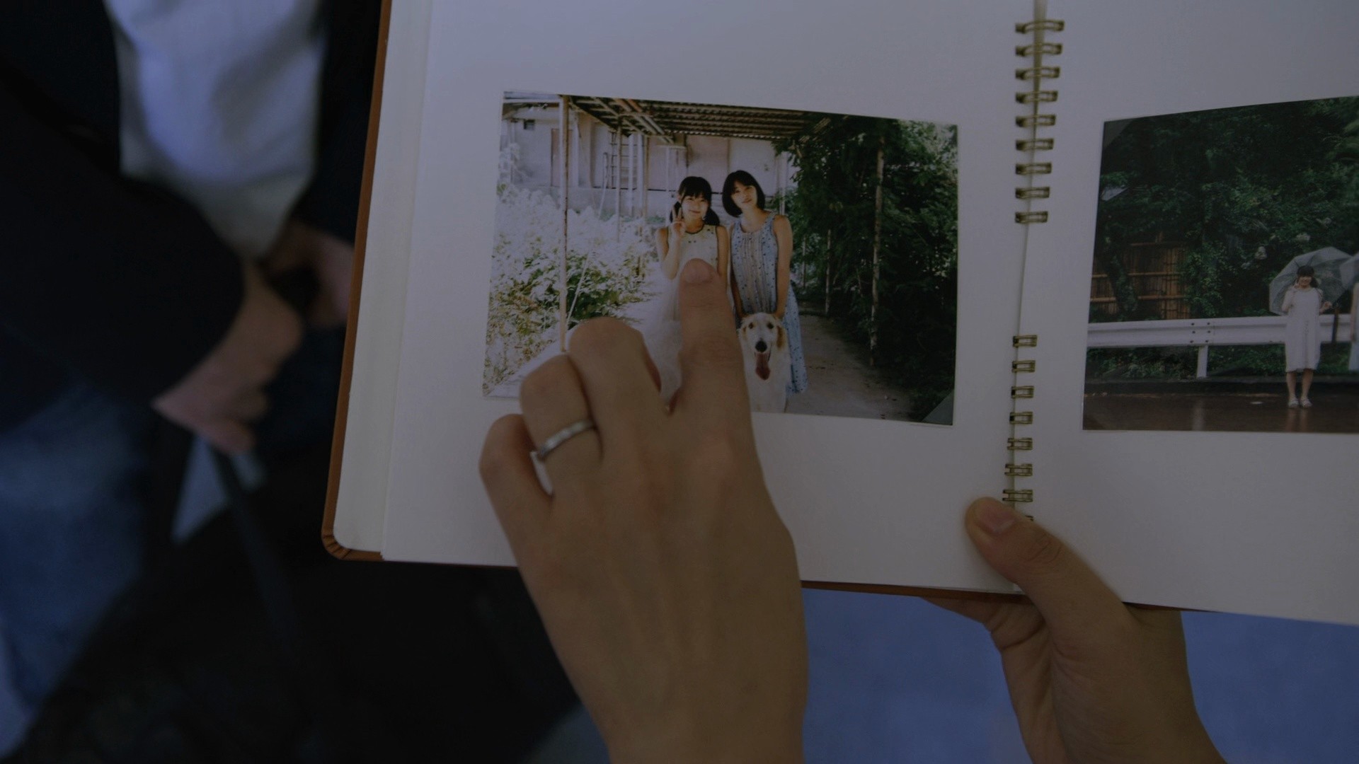 Last Letter (2020) —  shot,  lighting