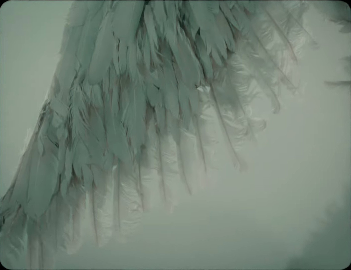 America (2025) —  shot,  lighting