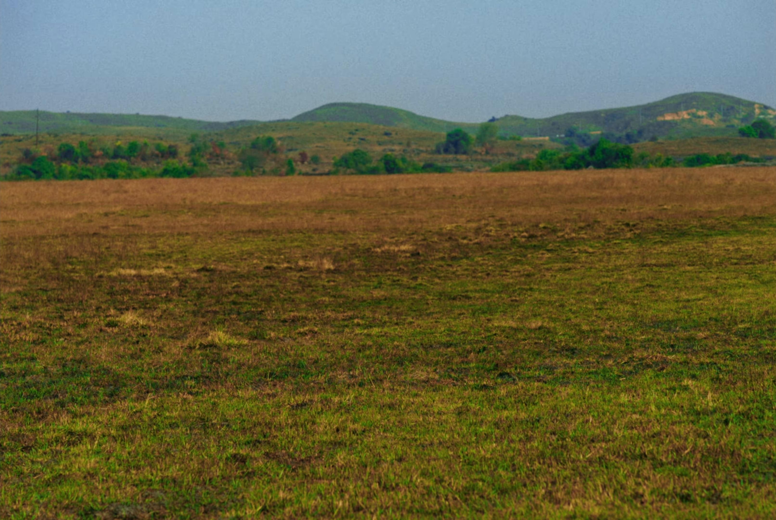 Shangri-La (2025) —  shot,  lighting