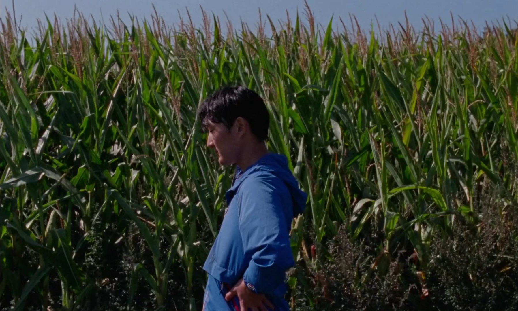 The Quiet Migration (2023) —  shot,  lighting