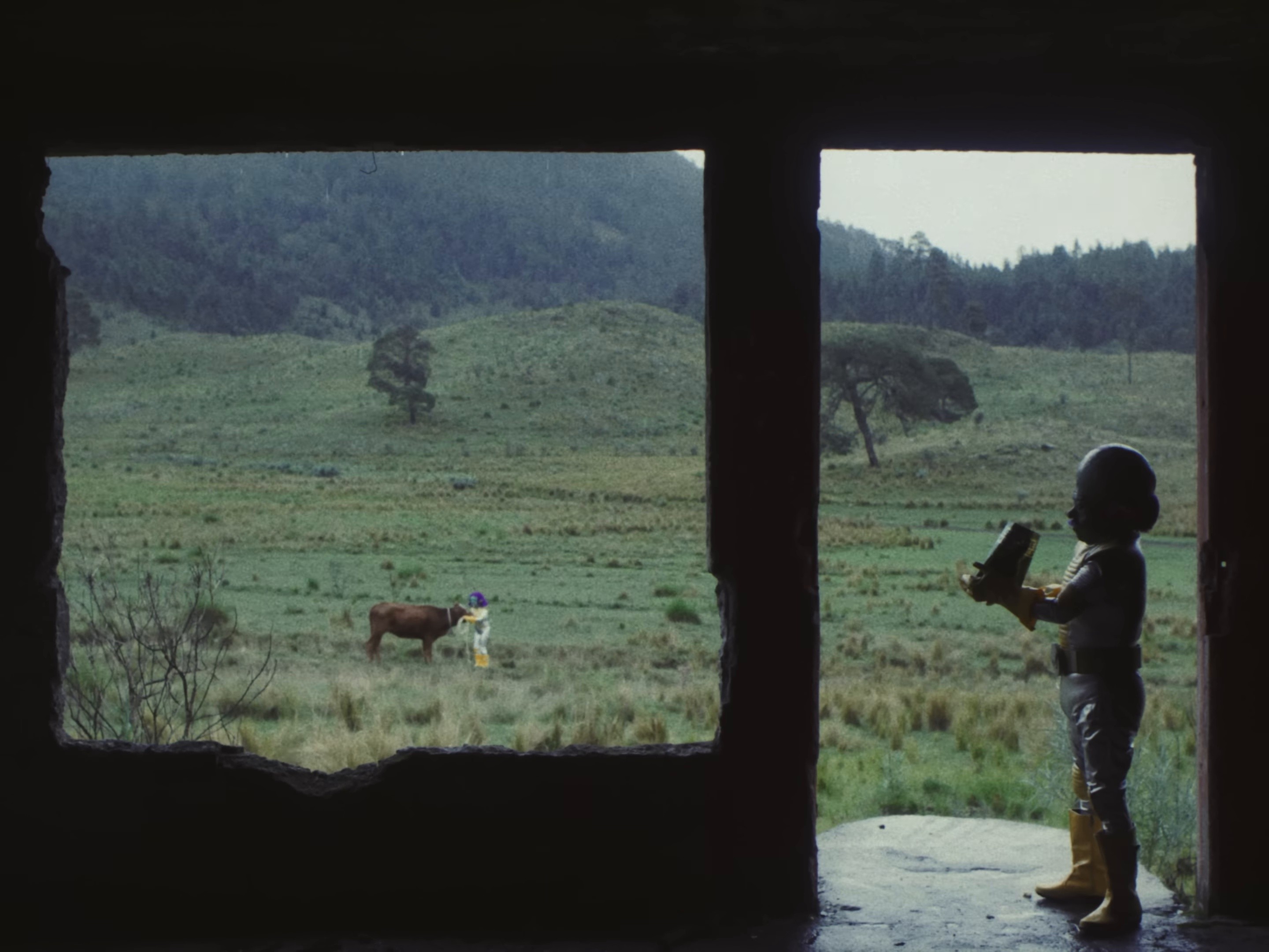 Show Pony (2024) —  shot,  lighting