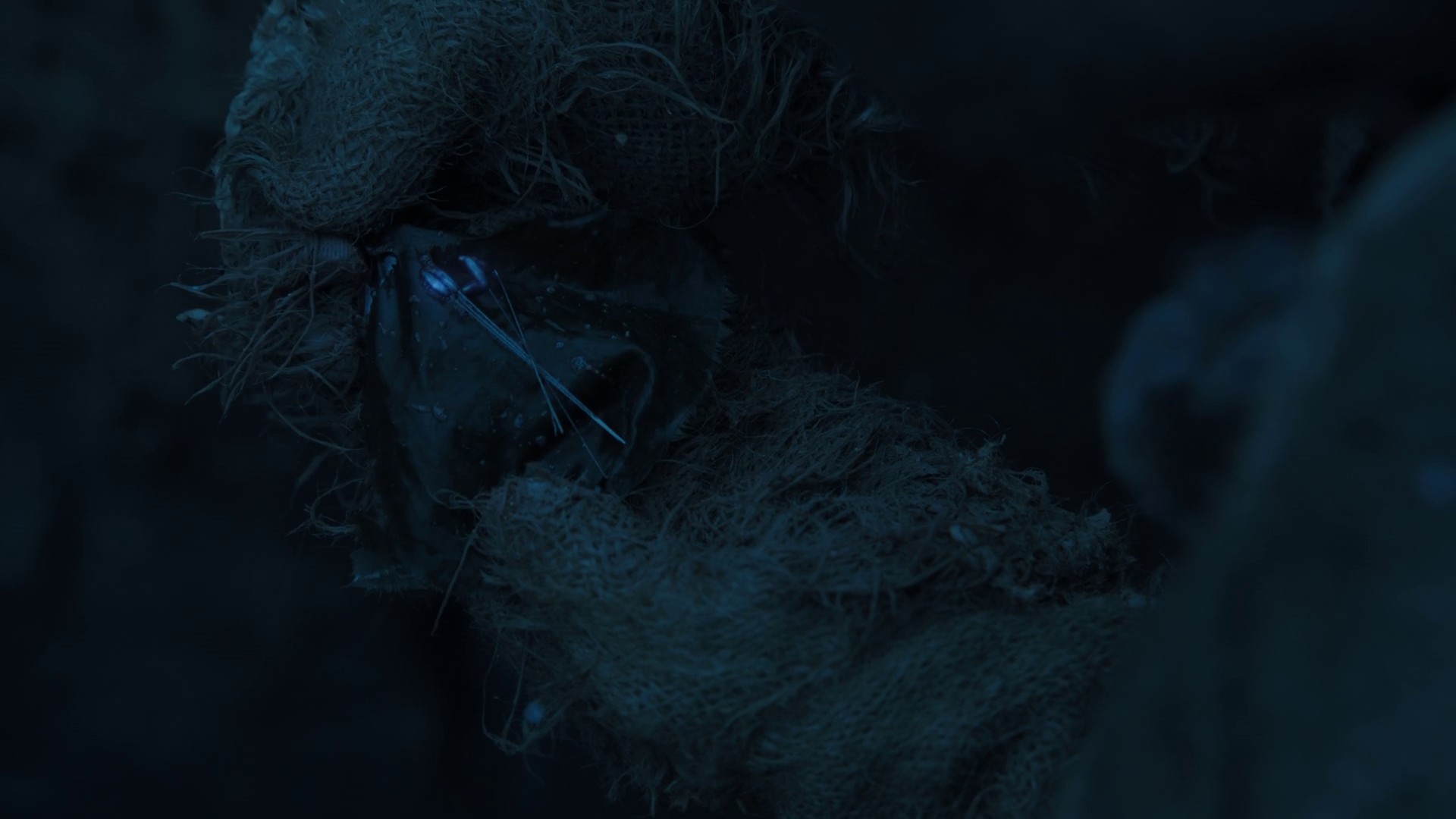 Infected Memory (2020) —  shot,  lighting