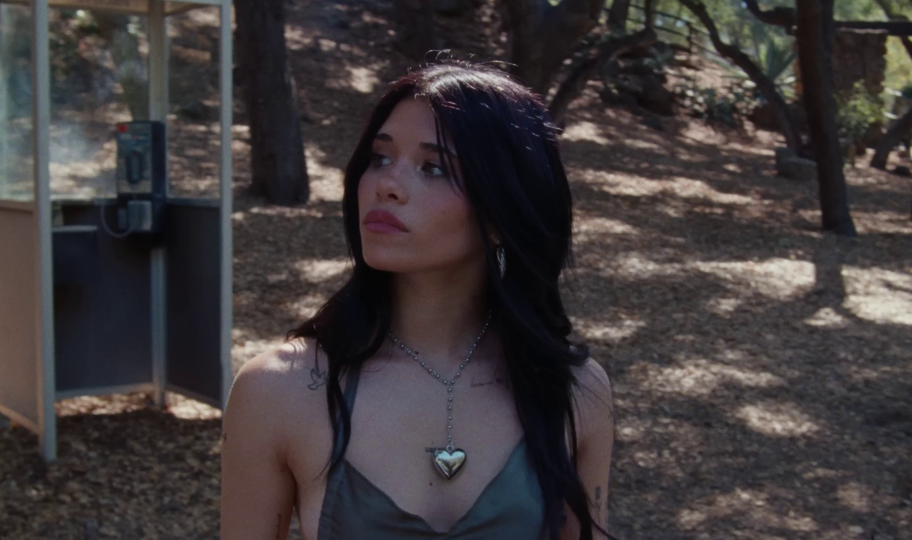 tired of california  (2022) —  shot,  lighting