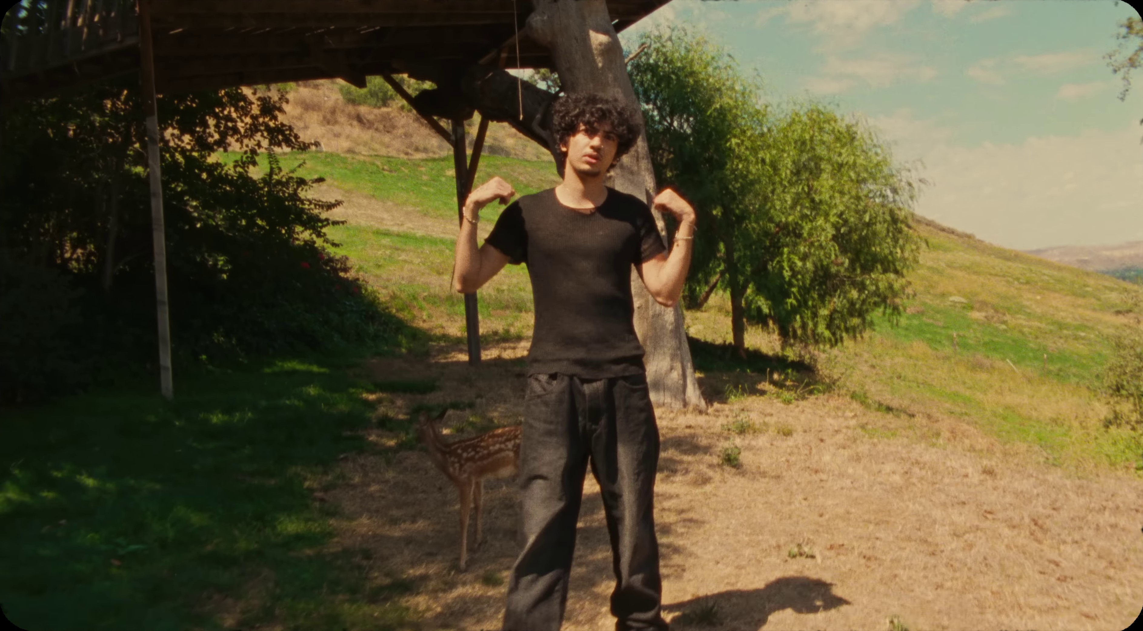 kickstand (2023) —  shot,  lighting