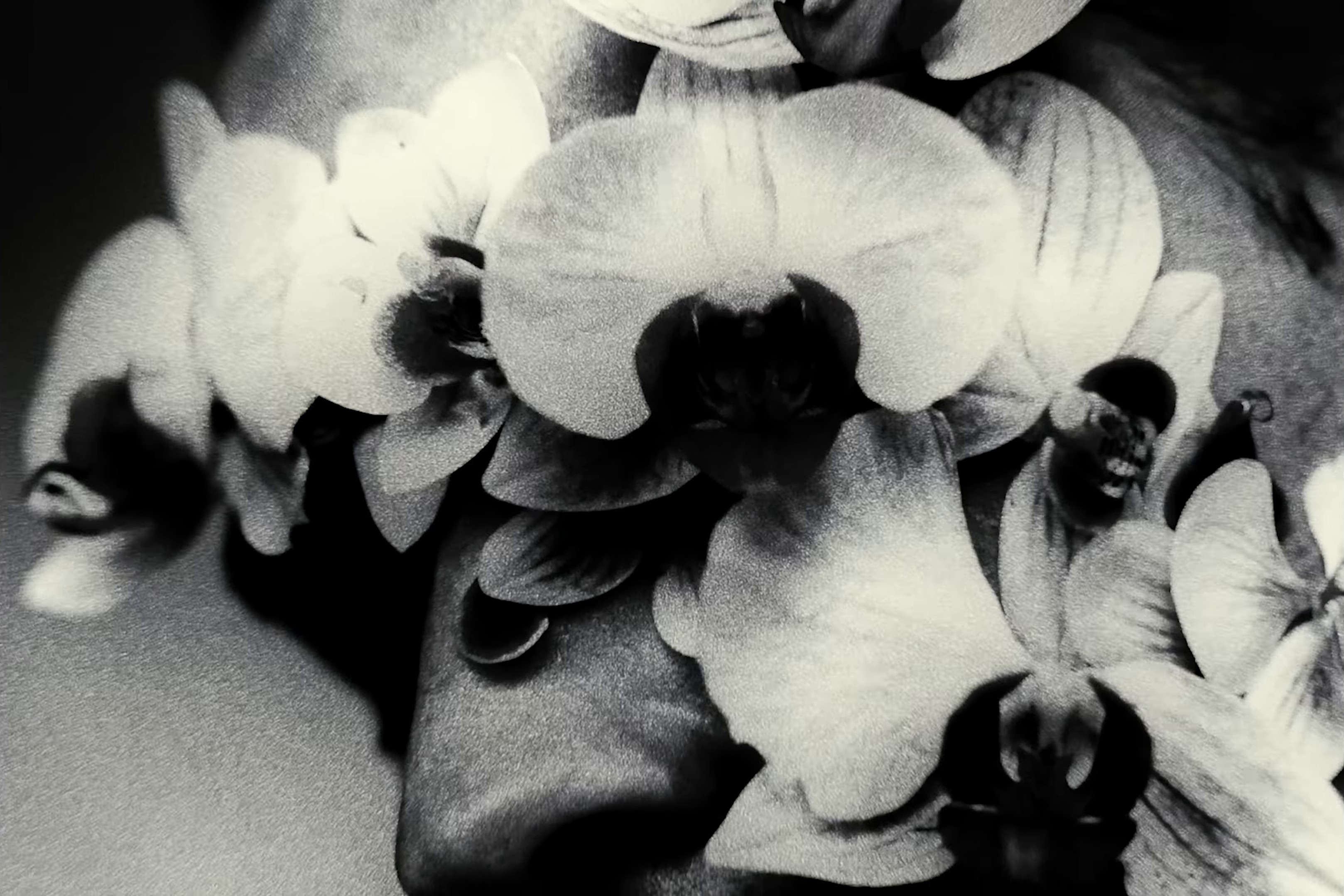 Hounds (2022) —  shot,  lighting