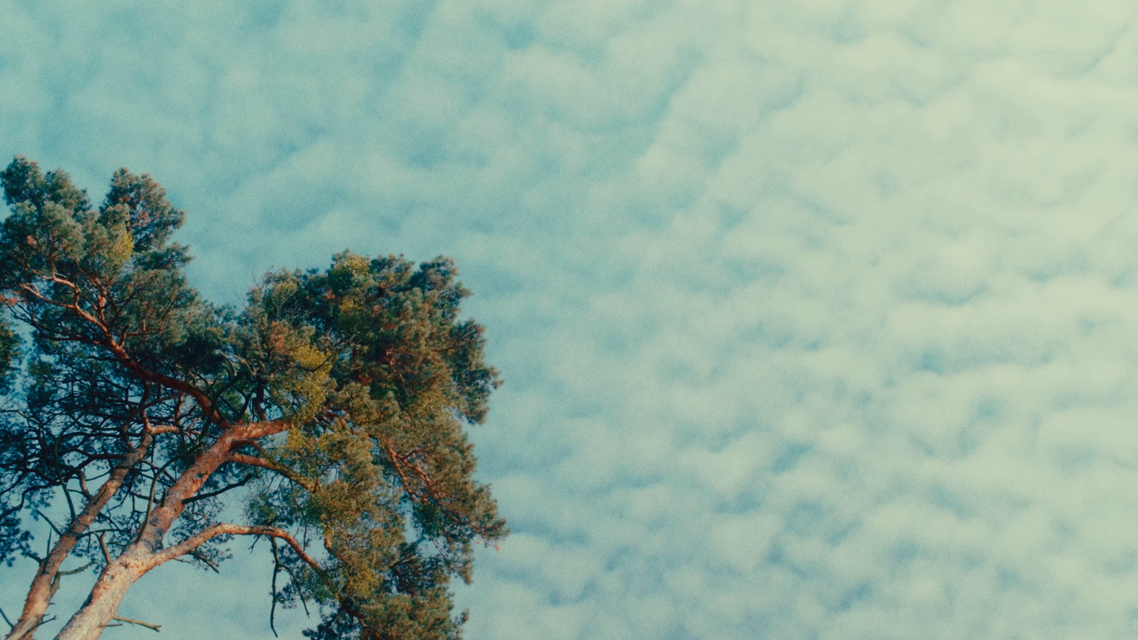 Kliešte (2023) —  shot,  lighting