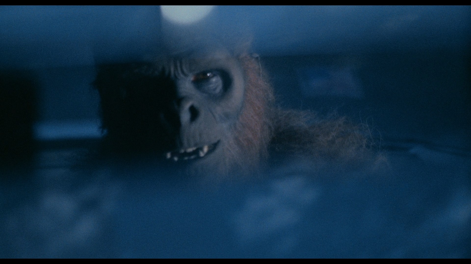 Schlock (1973) —  shot,  lighting