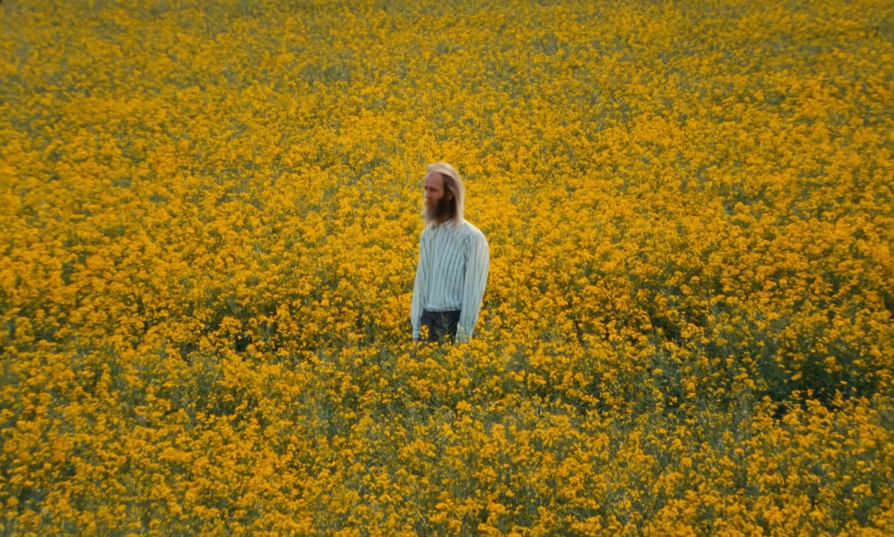 Flickers (2025) —  shot,  lighting