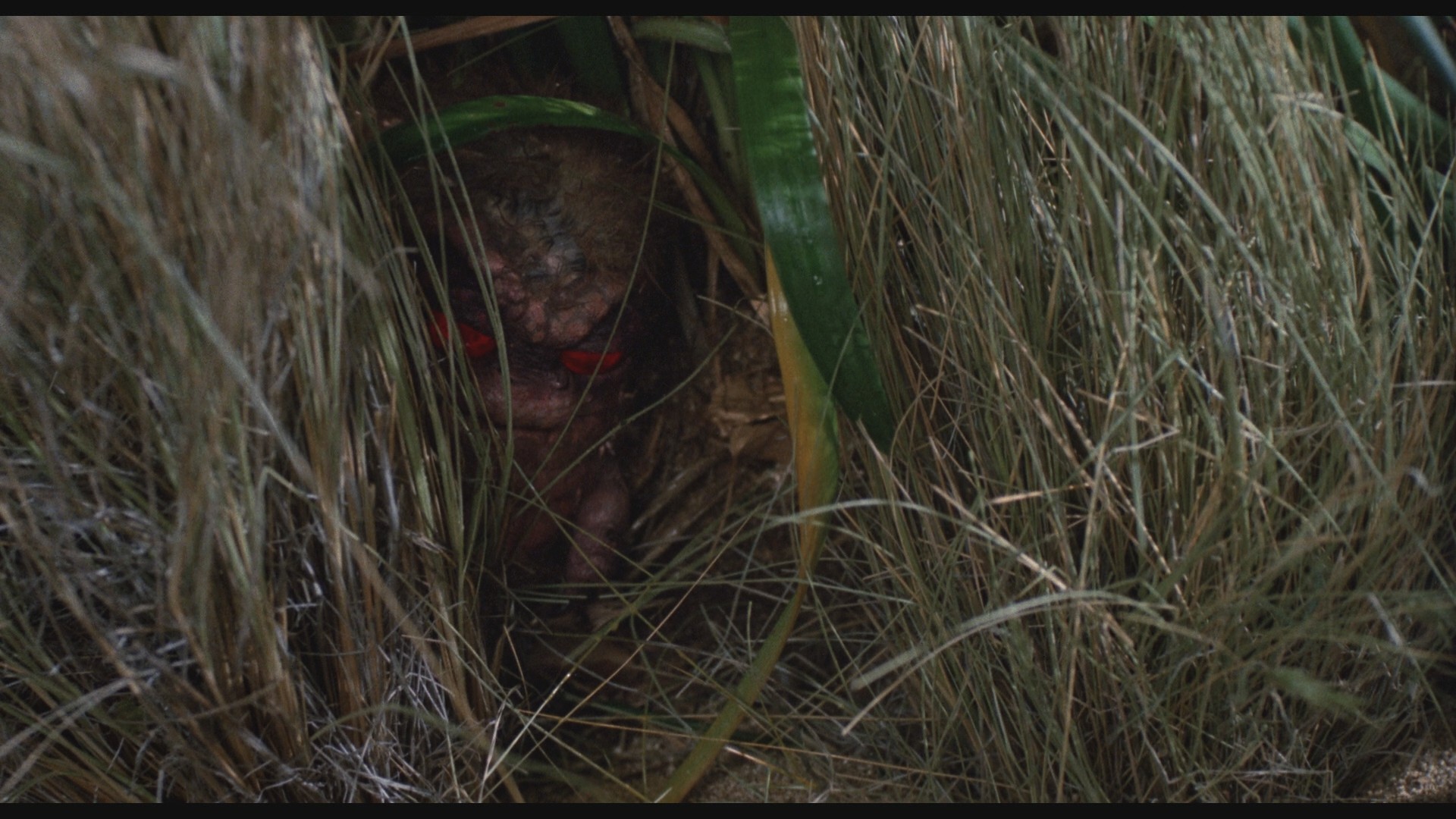 Critters 2 (1988) —  shot,  lighting