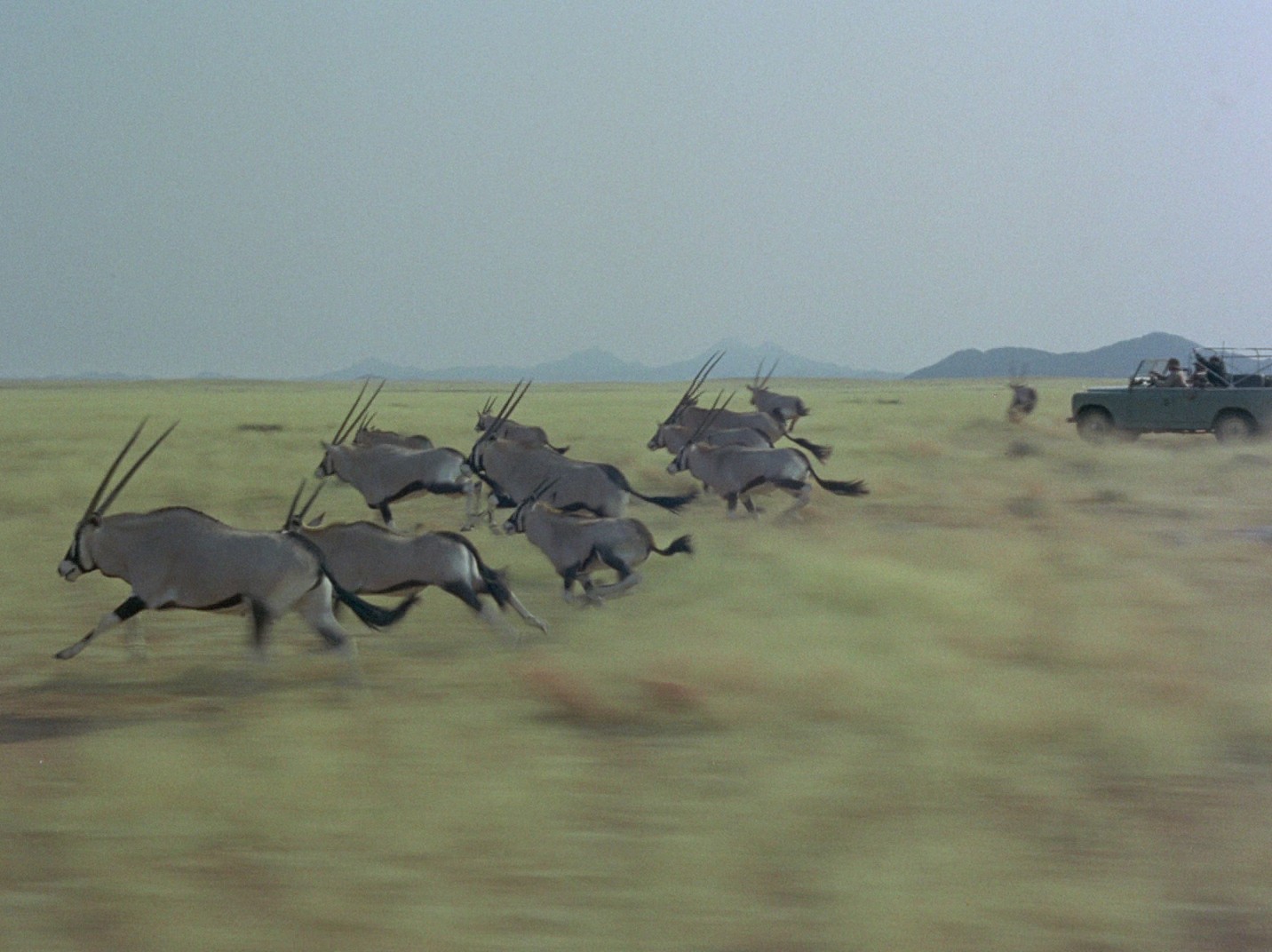Riusciranno i nostri eroi a ritrovare l'amico misteriosamente scomparso in Africa? (1968) —  shot,  lighting