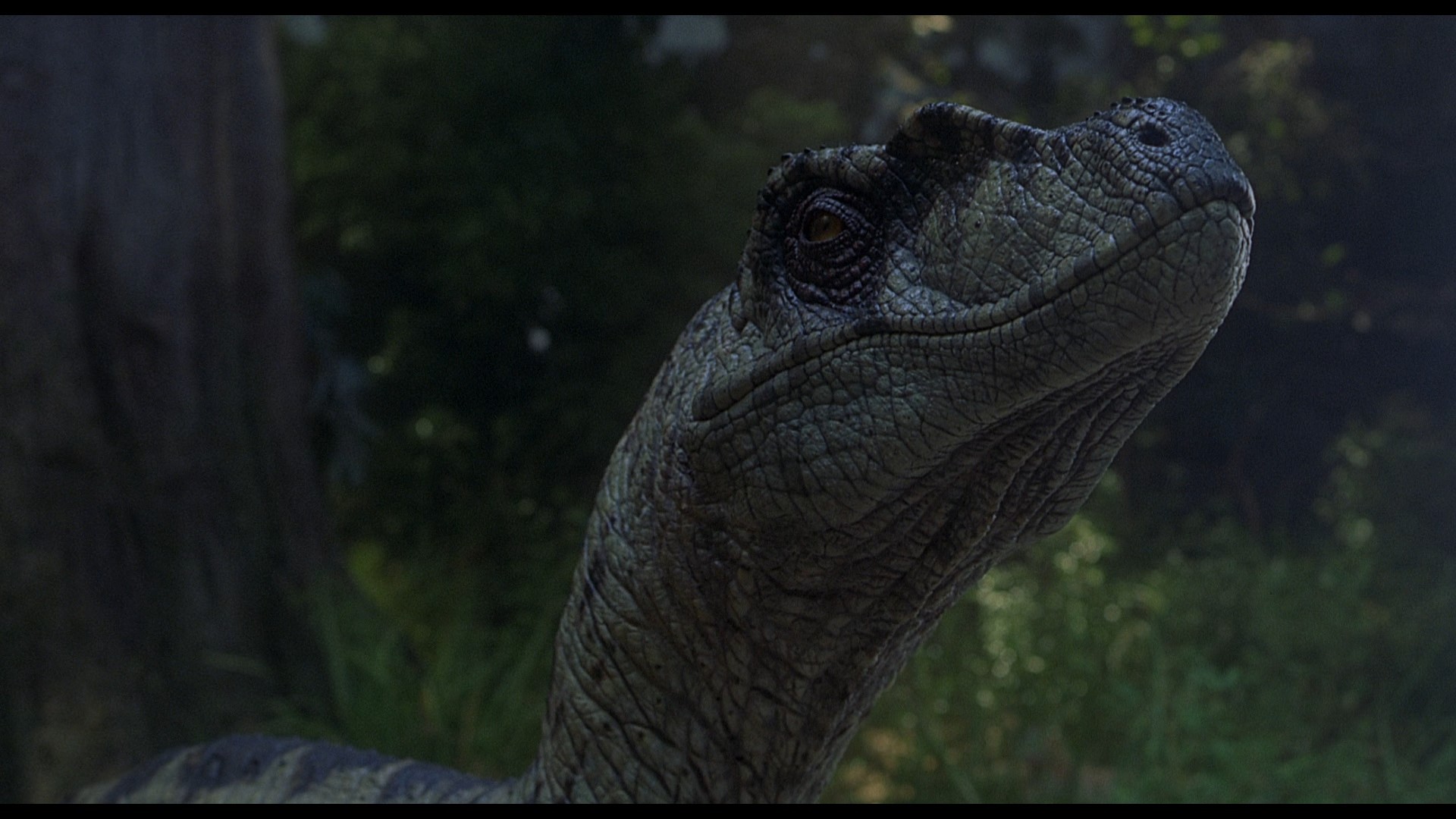 Jurassic Park III (2001) —  shot,  lighting