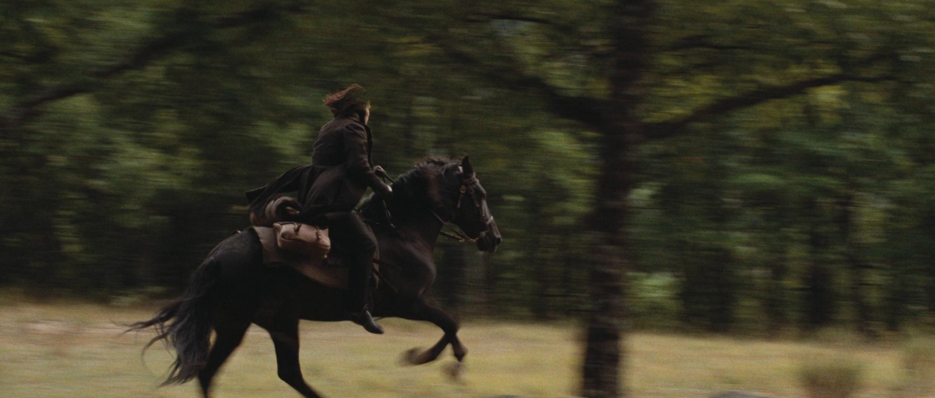 The Horseman on the Roof (1995) —  shot,  lighting