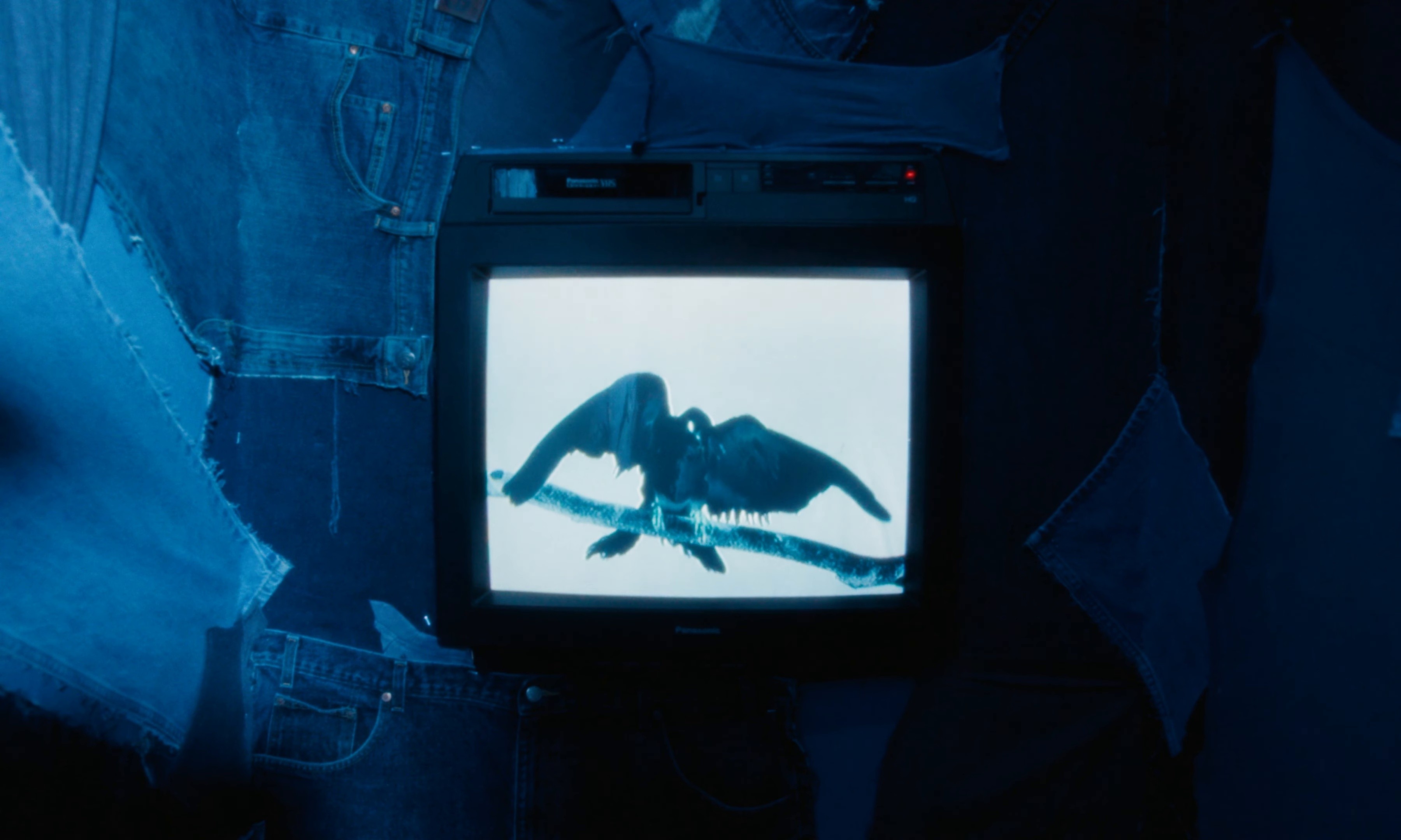 Hope You Find What You're Looking For (2024) —  shot,  lighting