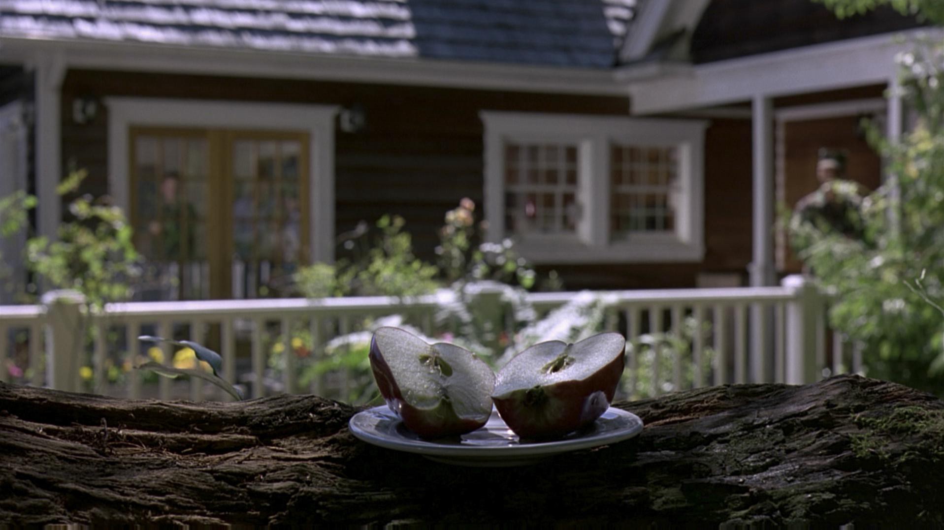 Outbreak (1995) —  shot,  lighting