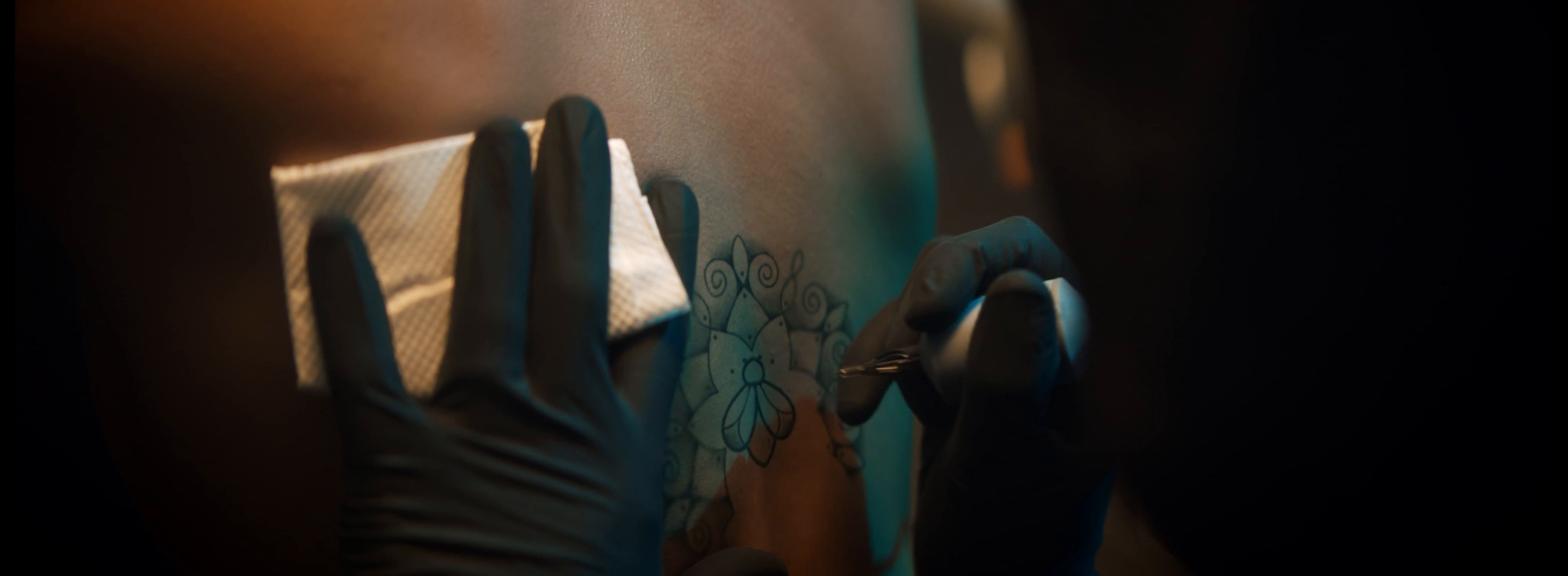 Zoughaib & Sons - Just Bee (2017) —  shot,  lighting