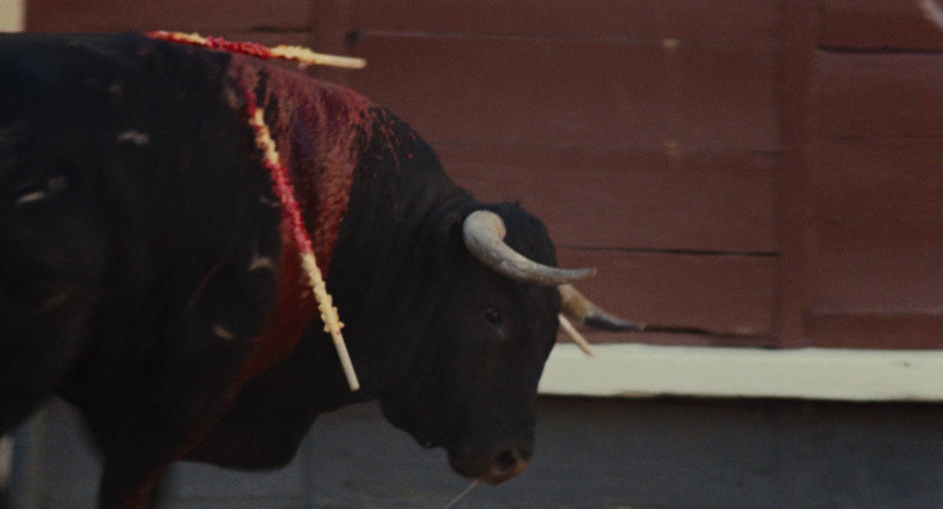 Voltati Eugenio (1980) —  shot,  lighting