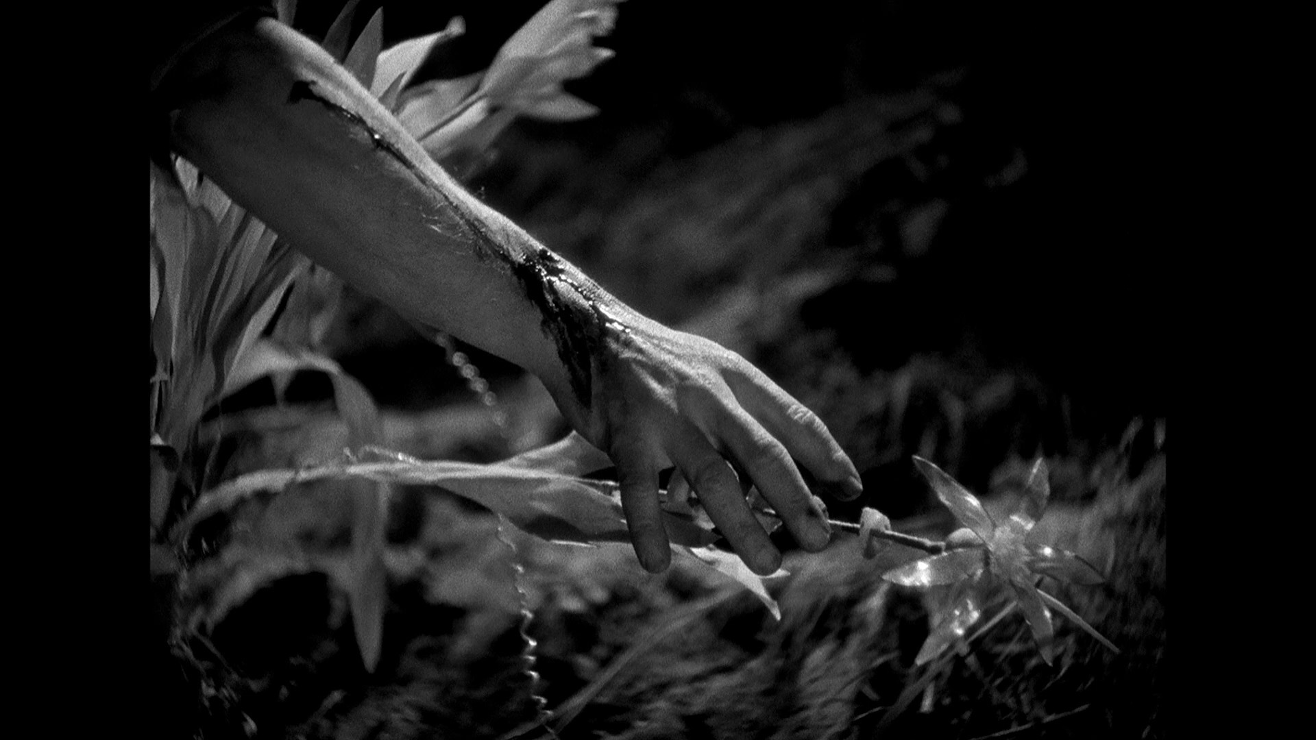 Werewolf of London (1935) —  shot,  lighting