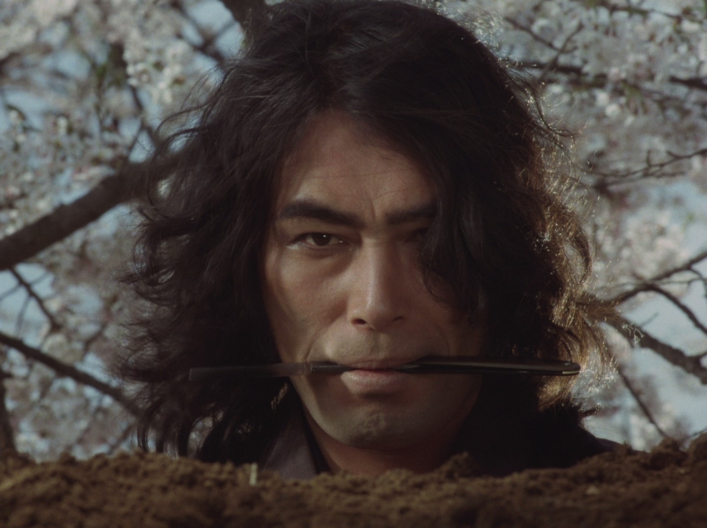 Zigeunerweisen (1980) —  shot,  lighting