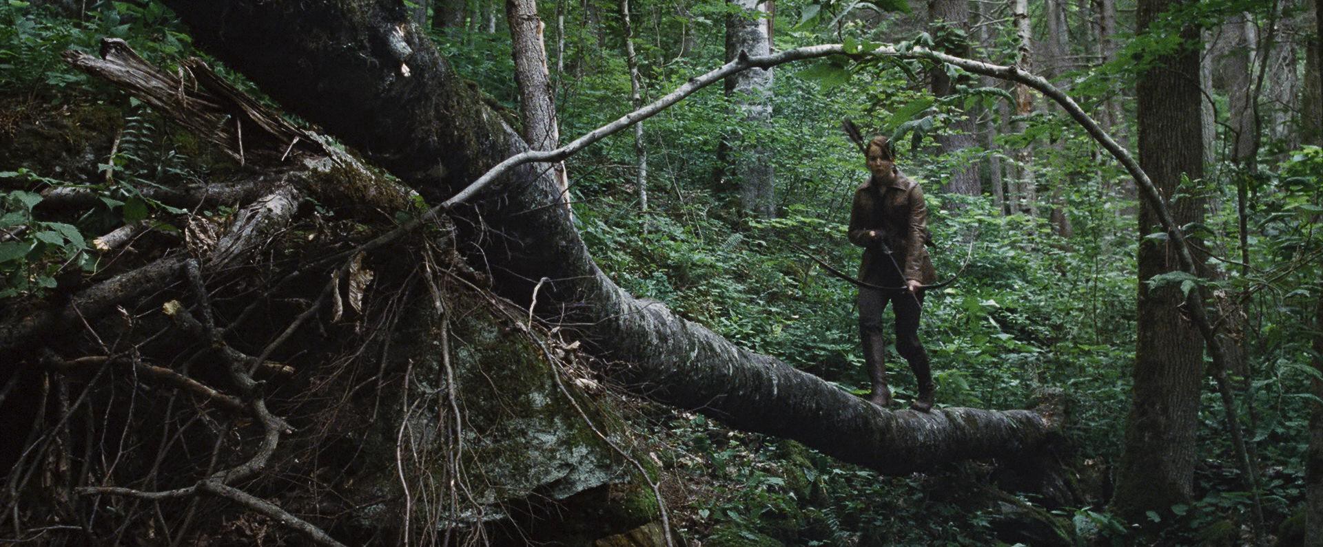 The Hunger Games (2012) —  shot,  lighting