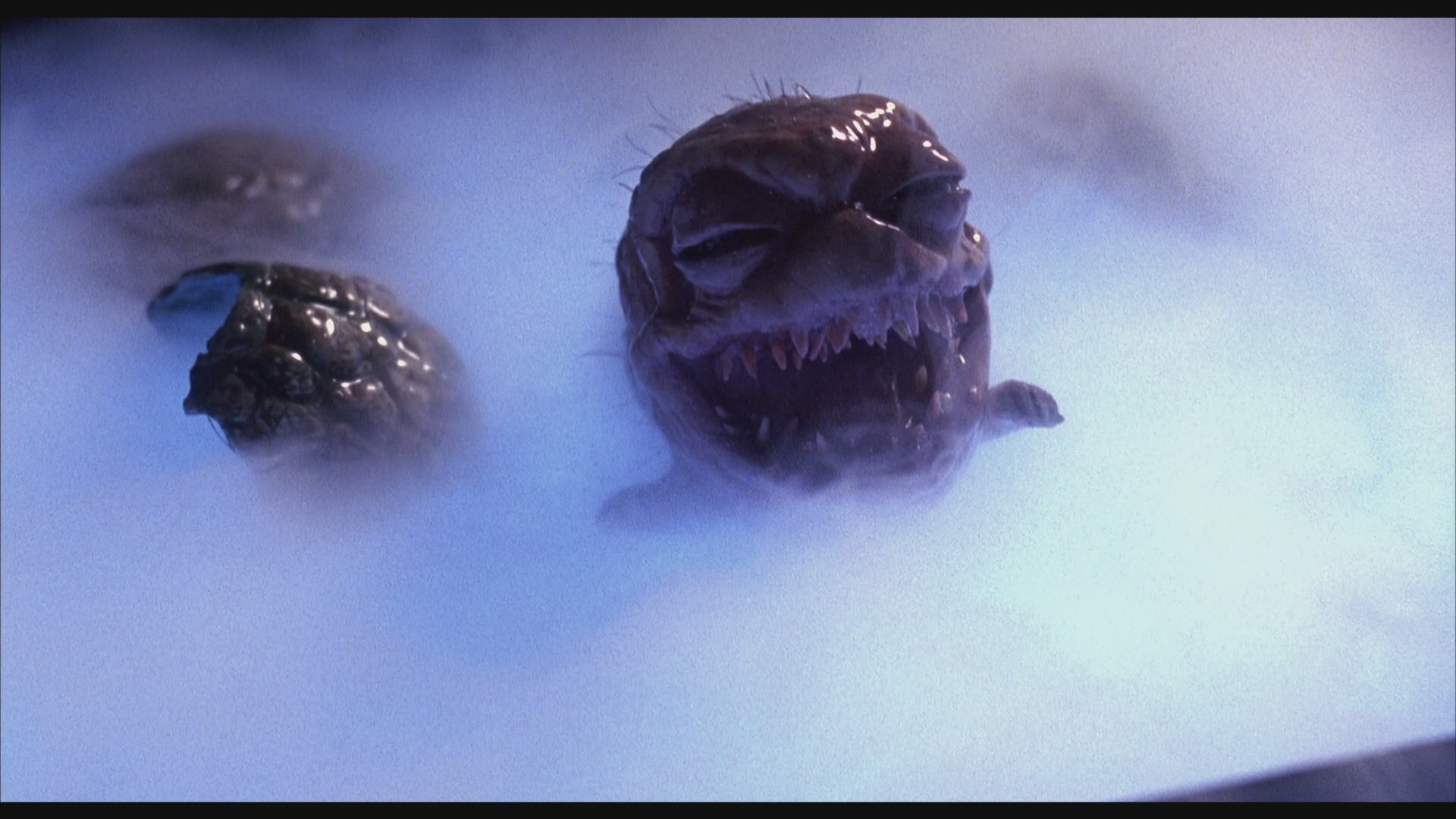 Critters 4 (1992) —  shot,  lighting