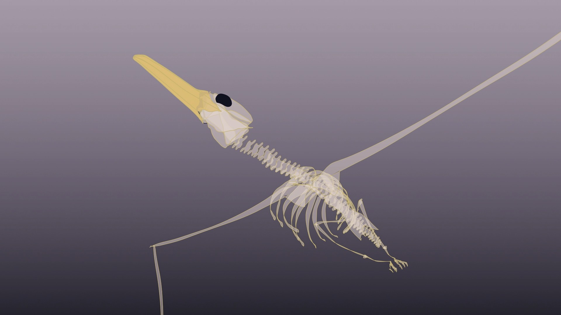 Legends of Flight (2010) —  shot,  lighting