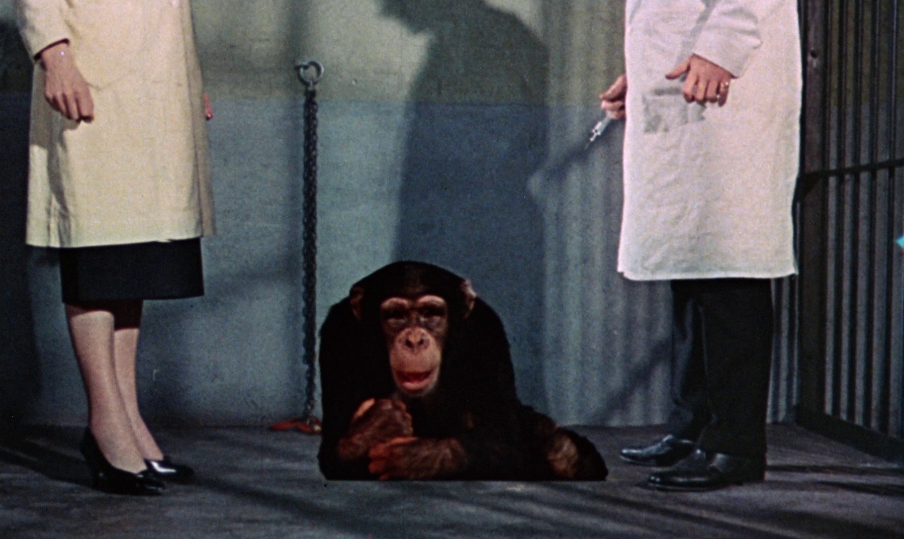 Konga (1961) —  shot,  lighting