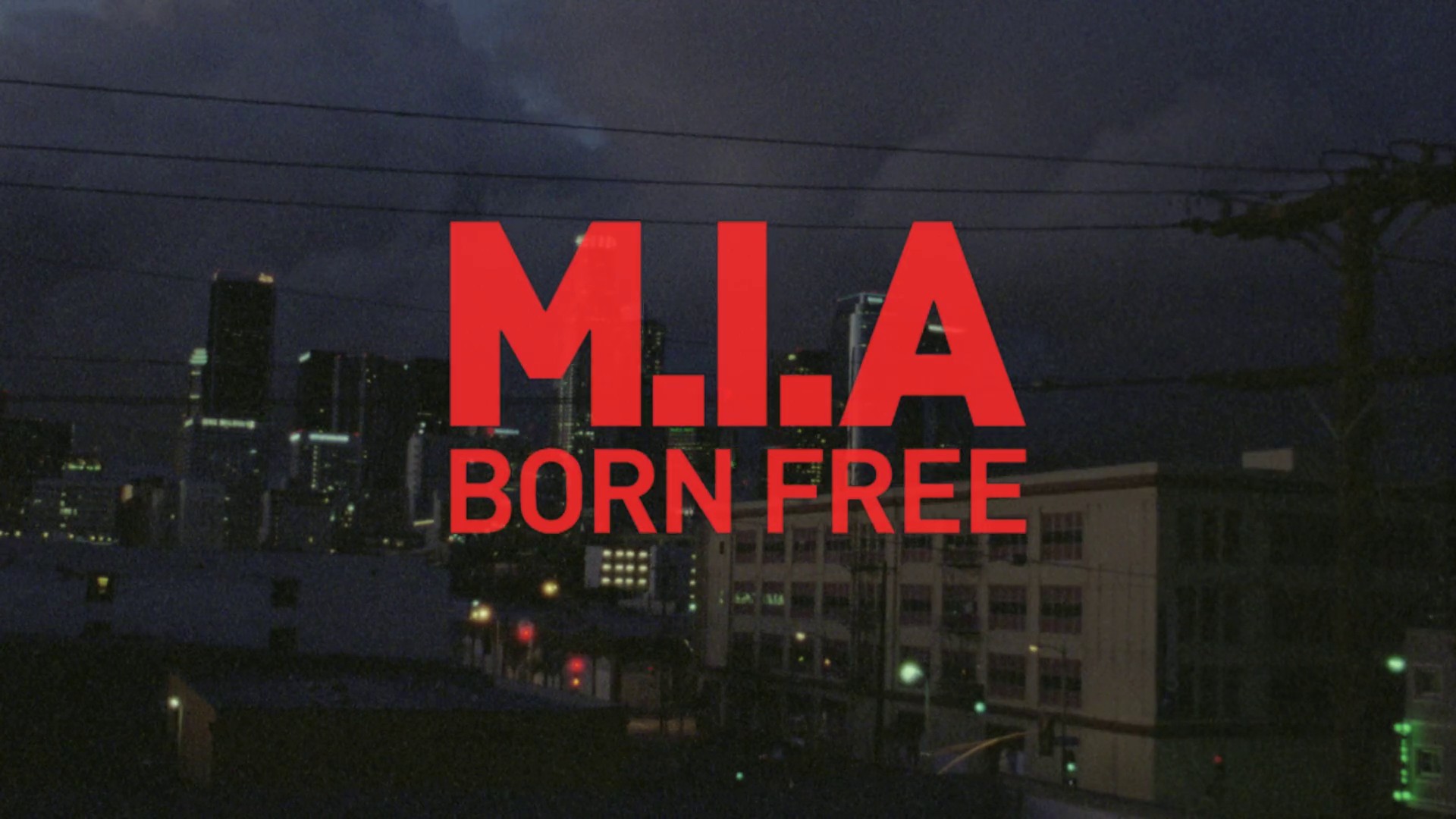 Born Free (2010) —  shot,  lighting