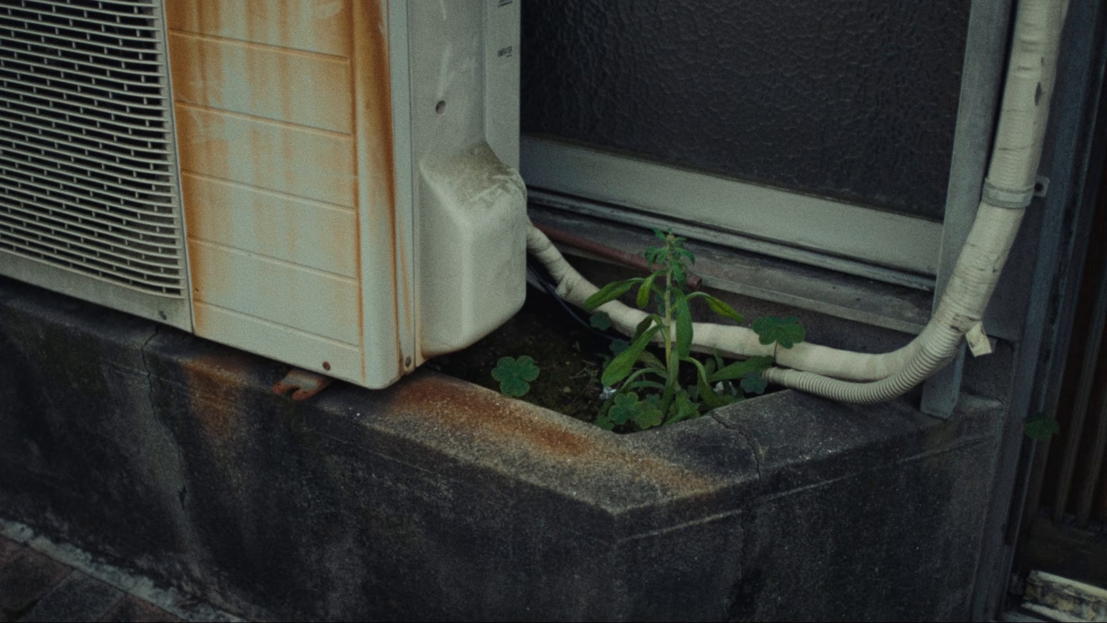 Inaho (2025) —  shot,  lighting