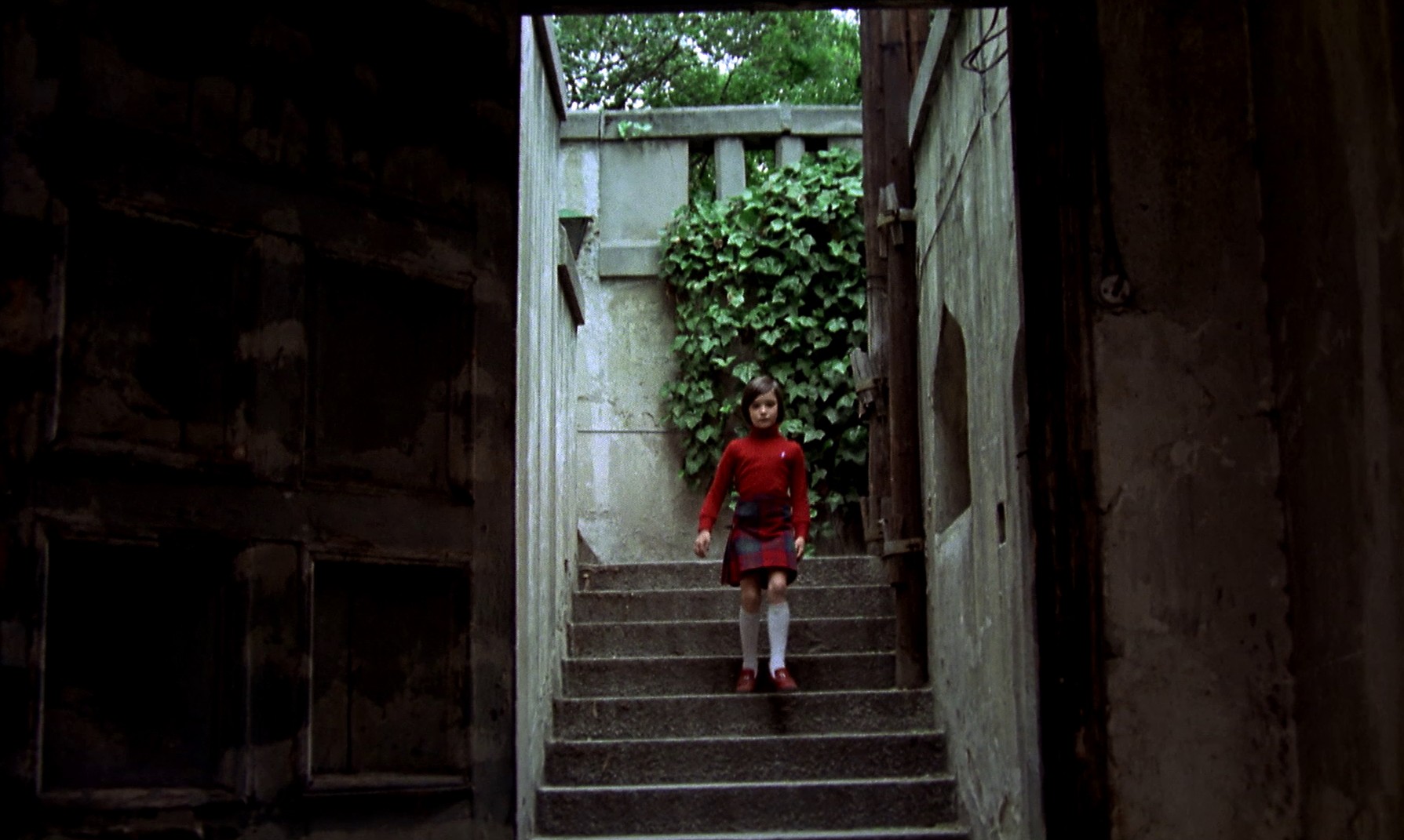 Cría Cuervos (1976) —  shot,  lighting