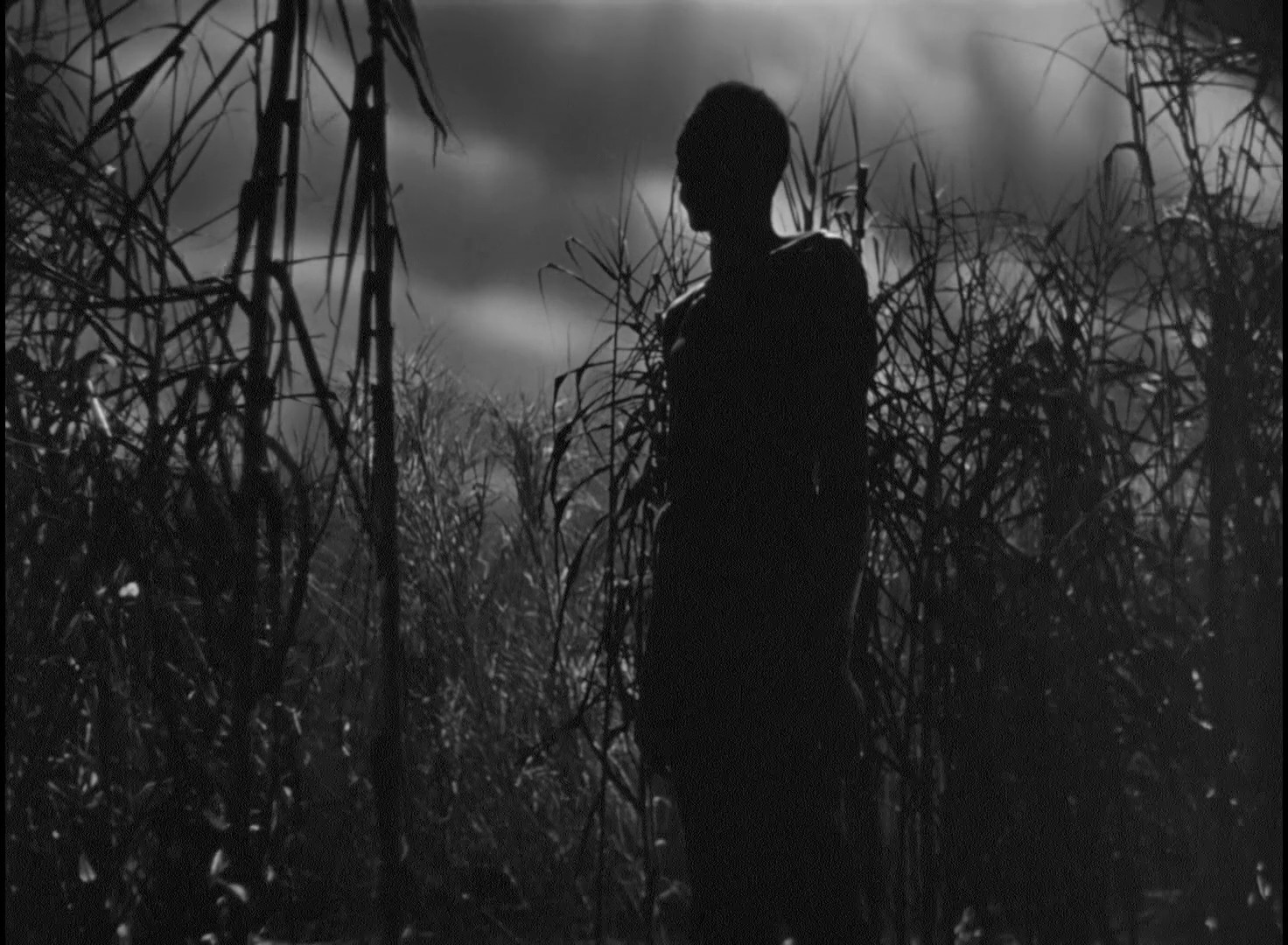 I Walked with a Zombie (1943) —  shot,  lighting