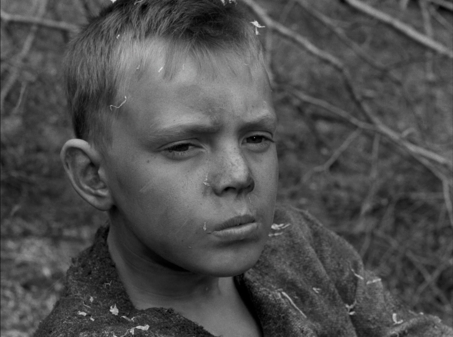 The Virgin Spring (1960) —  shot,  lighting