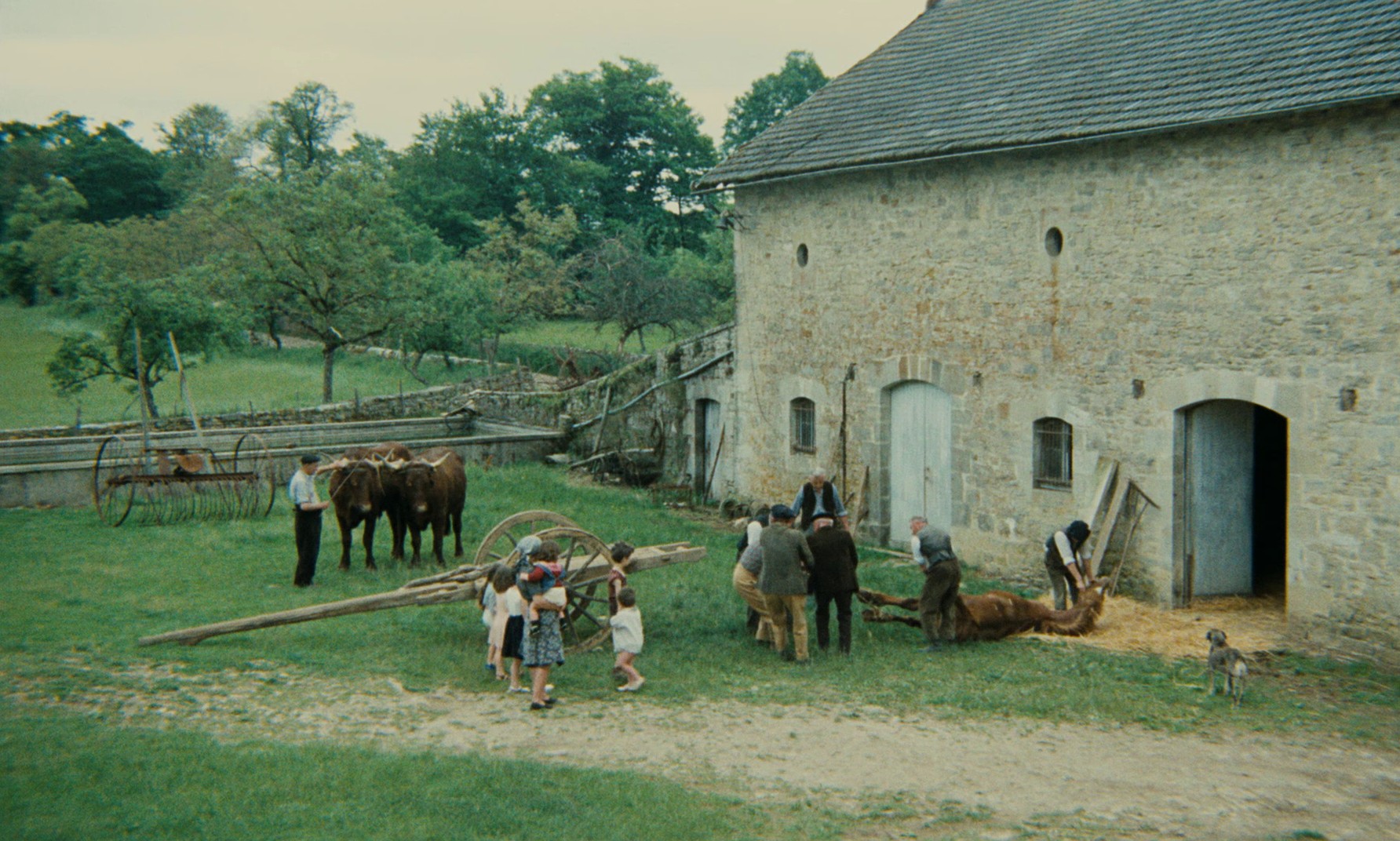 Lacombe, Lucien (1974) —  shot,  lighting