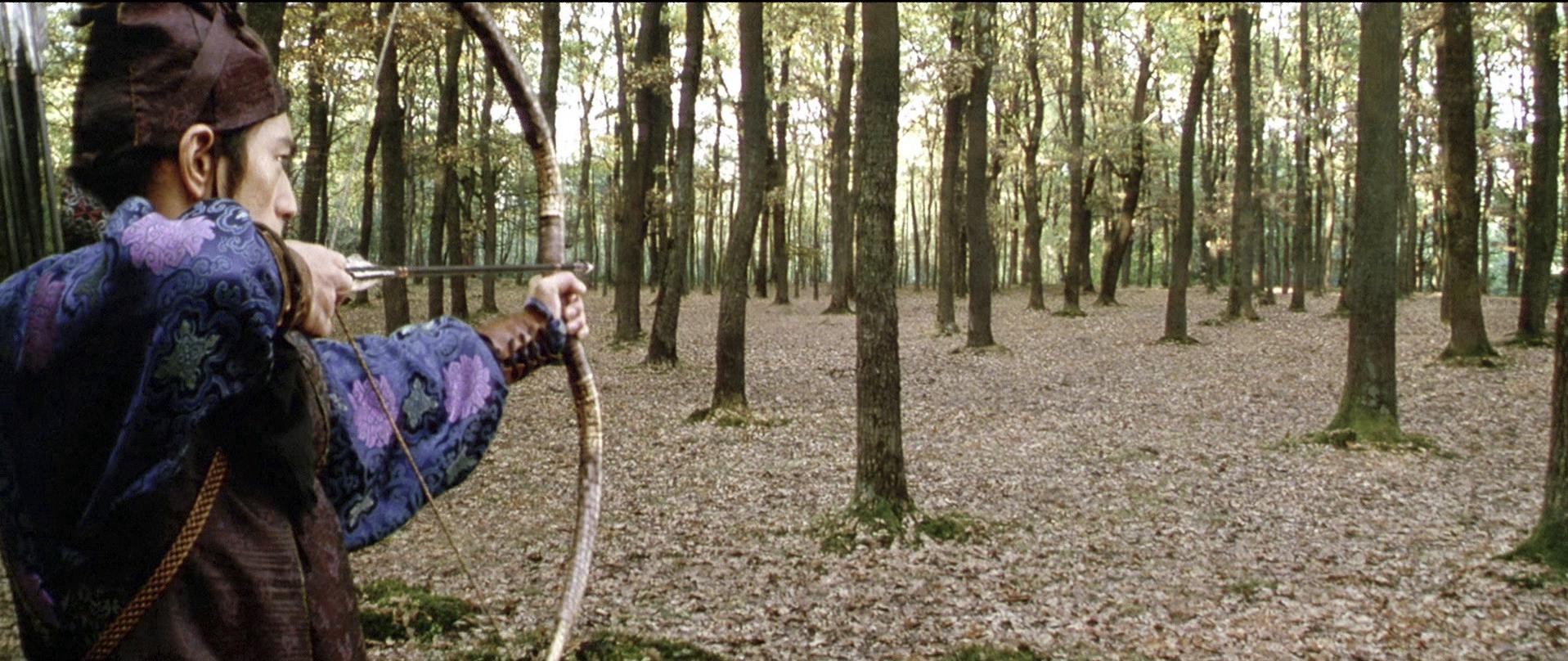 House of Flying Daggers (2004) —  shot,  lighting