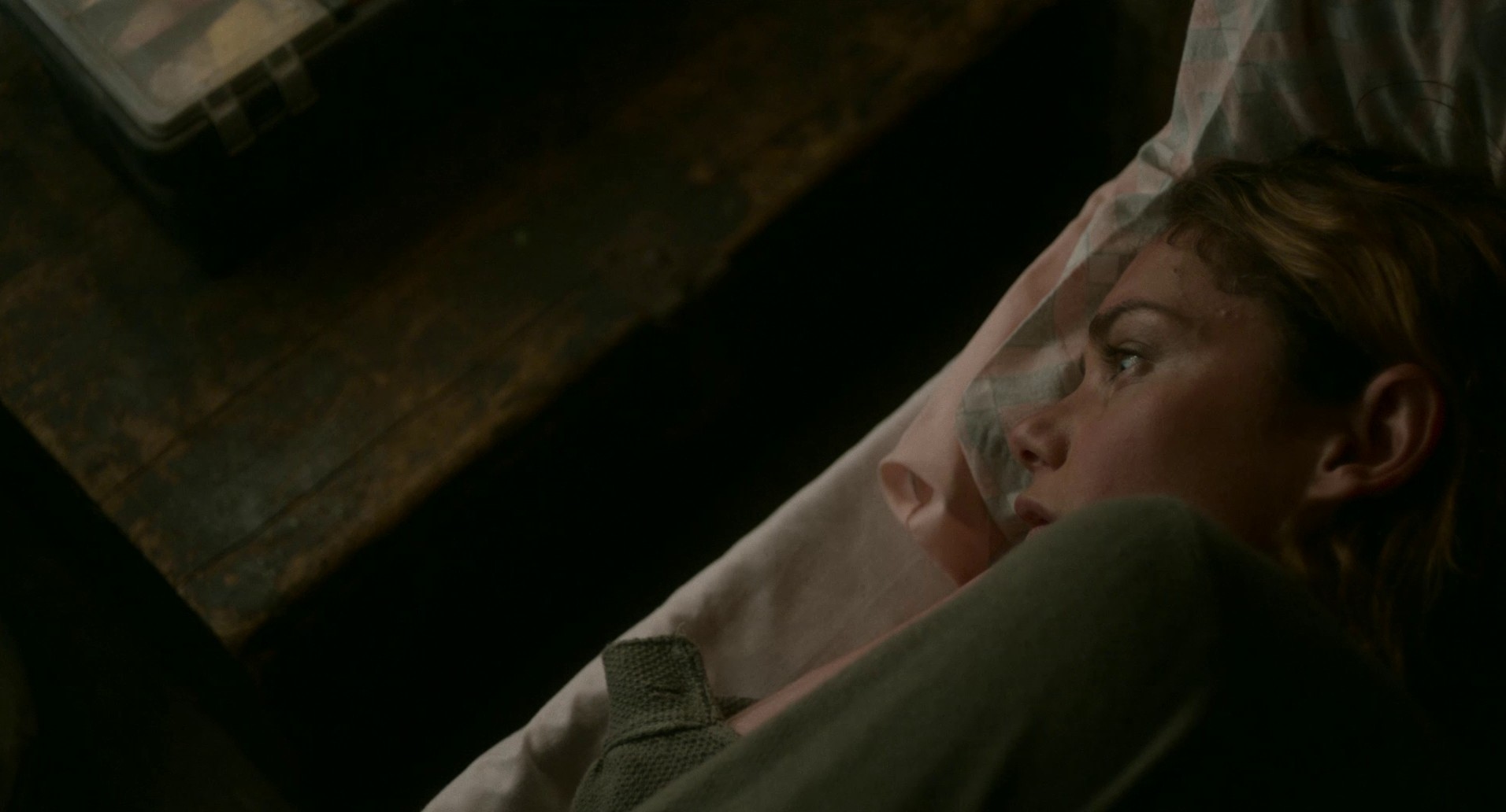 Dark River (2017) —  shot,  lighting