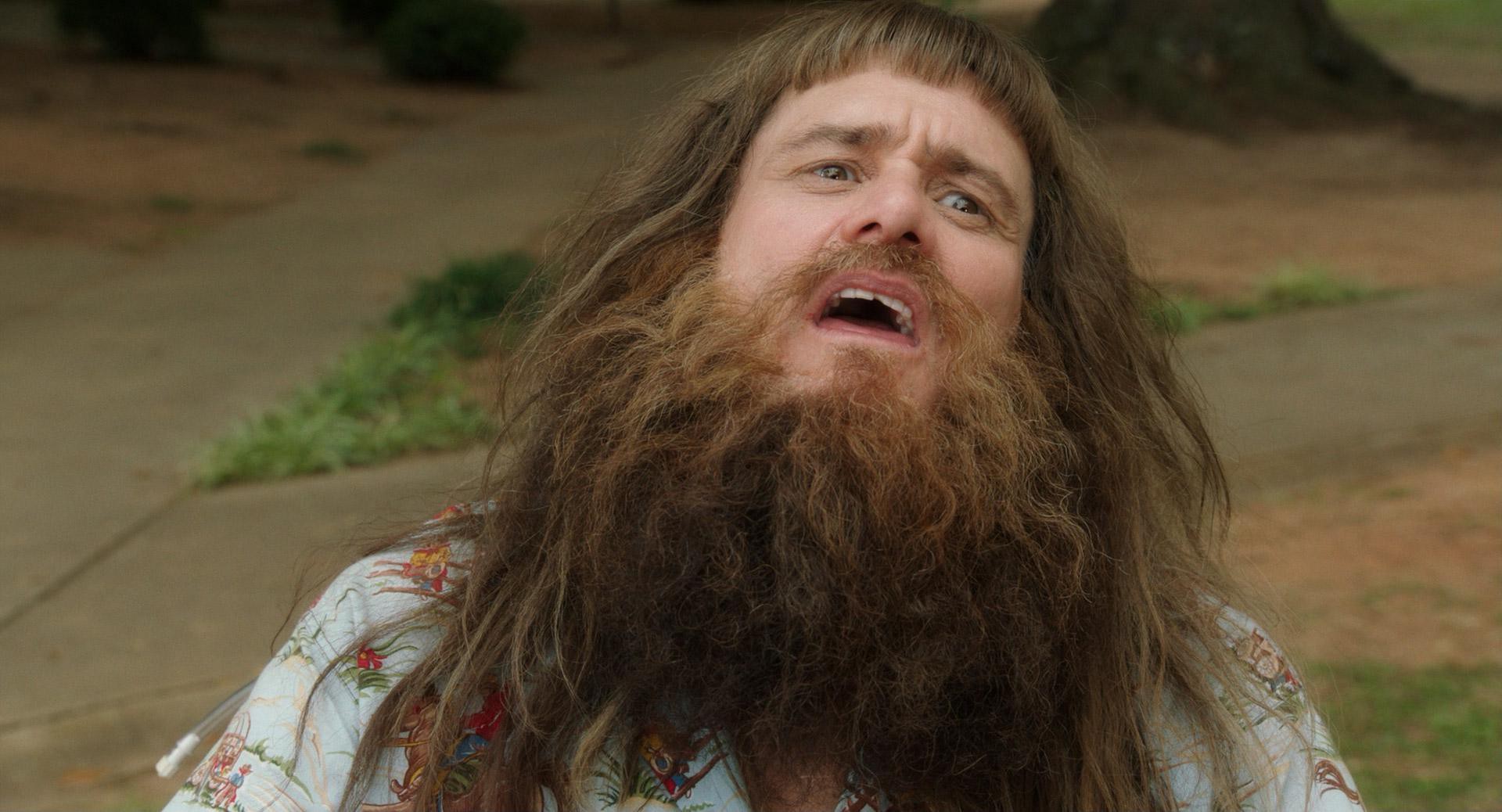 Dumb and Dumber To (2014) —  shot,  lighting