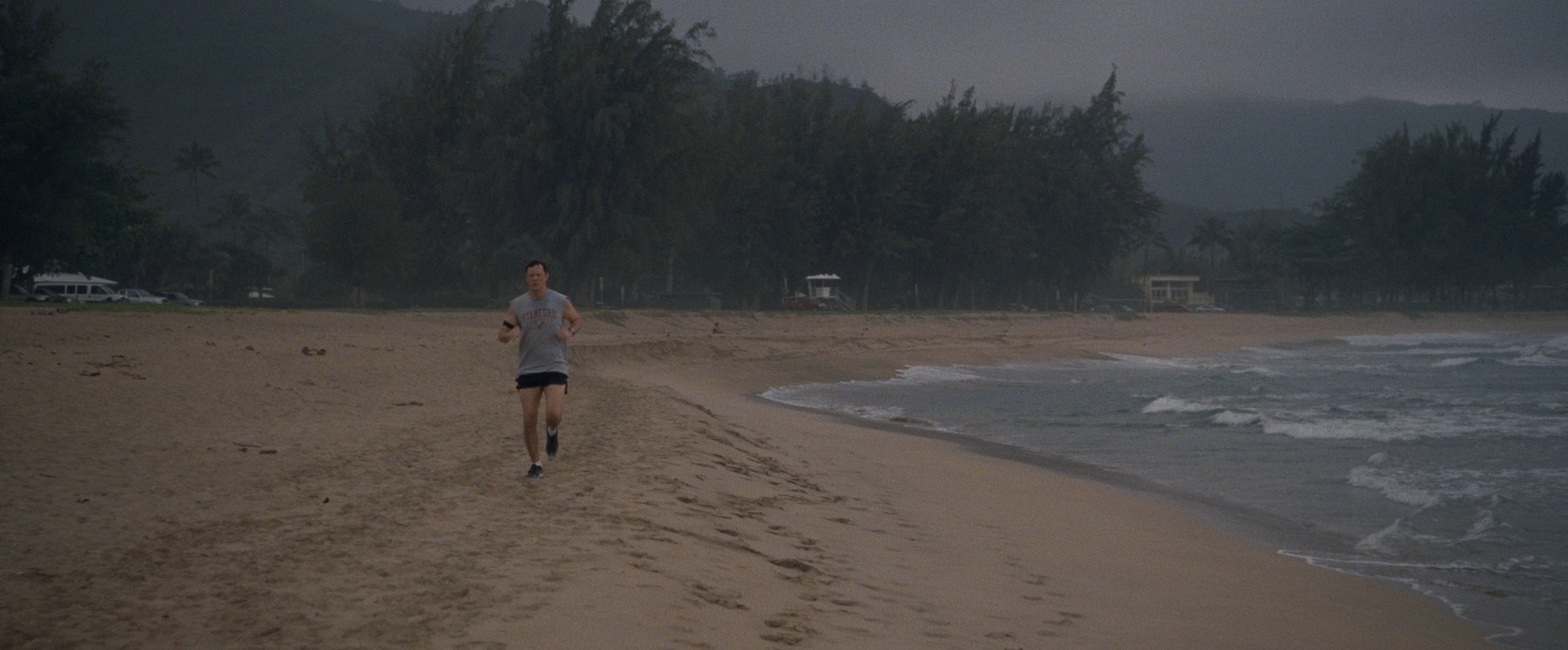 The Descendants (2011) —  shot,  lighting