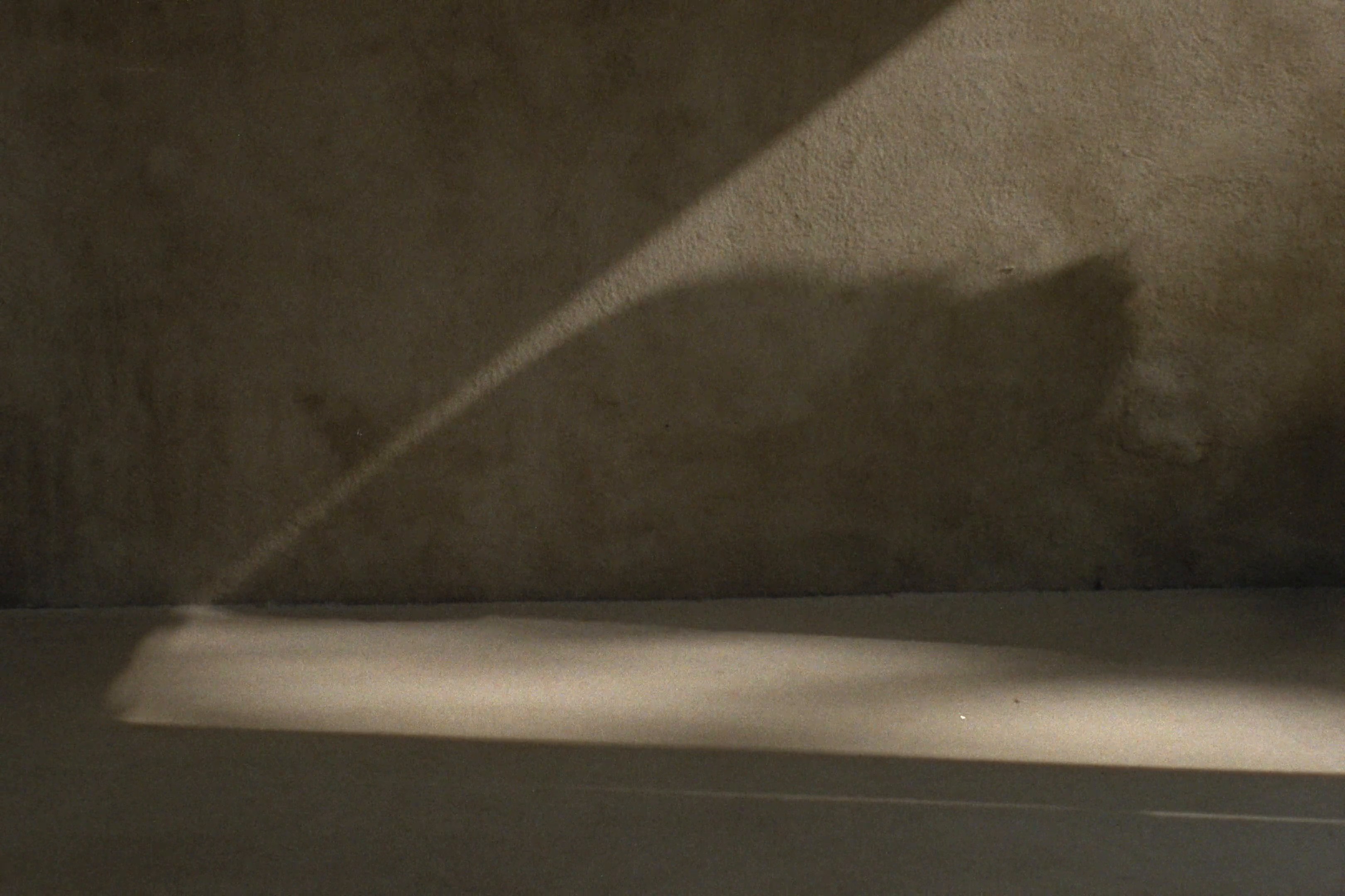 BIRKENSTOCK | TOKIO (2024) —  shot,  lighting