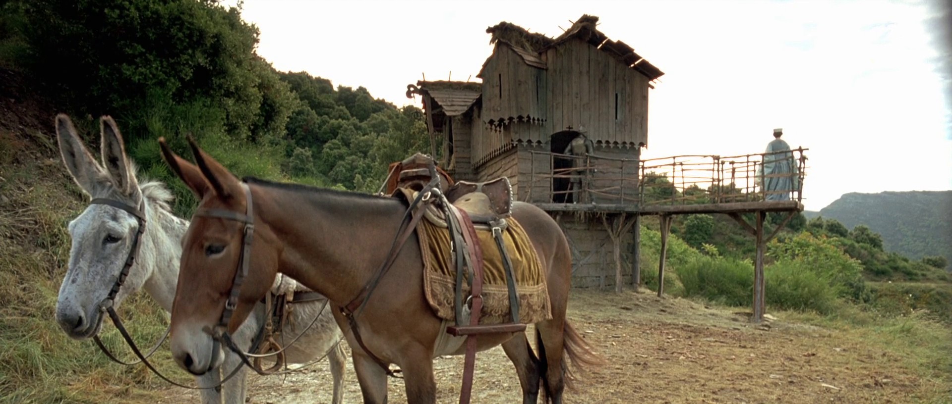 Les visiteurs (1993) —  shot,  lighting