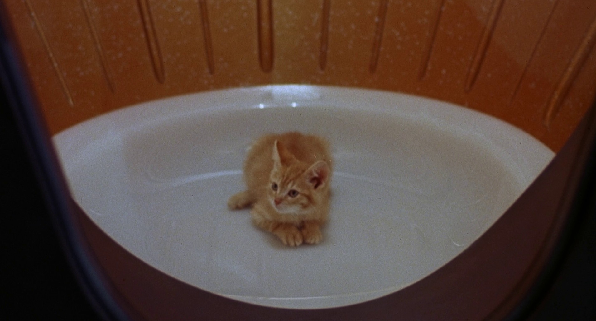 The Fly II (1989) —  shot,  lighting