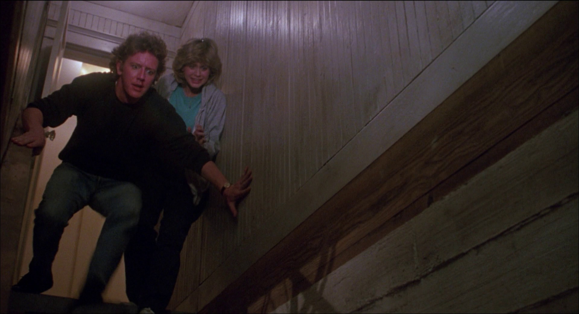 Ruthless People (1986) —  shot,  lighting