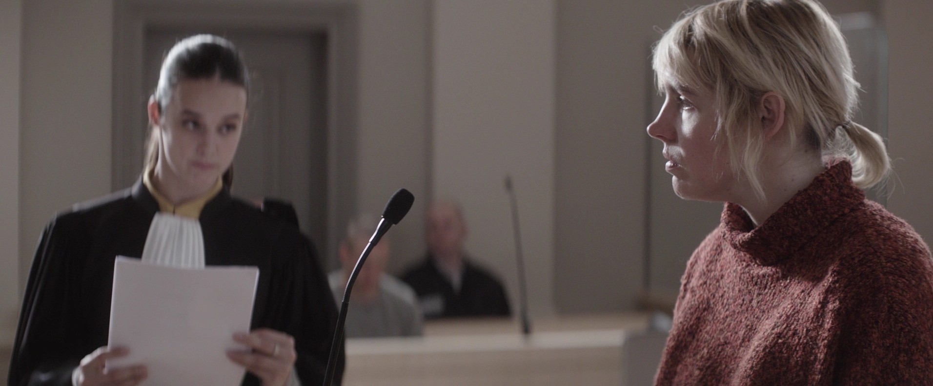 L'hermine (2015) —  shot,  lighting