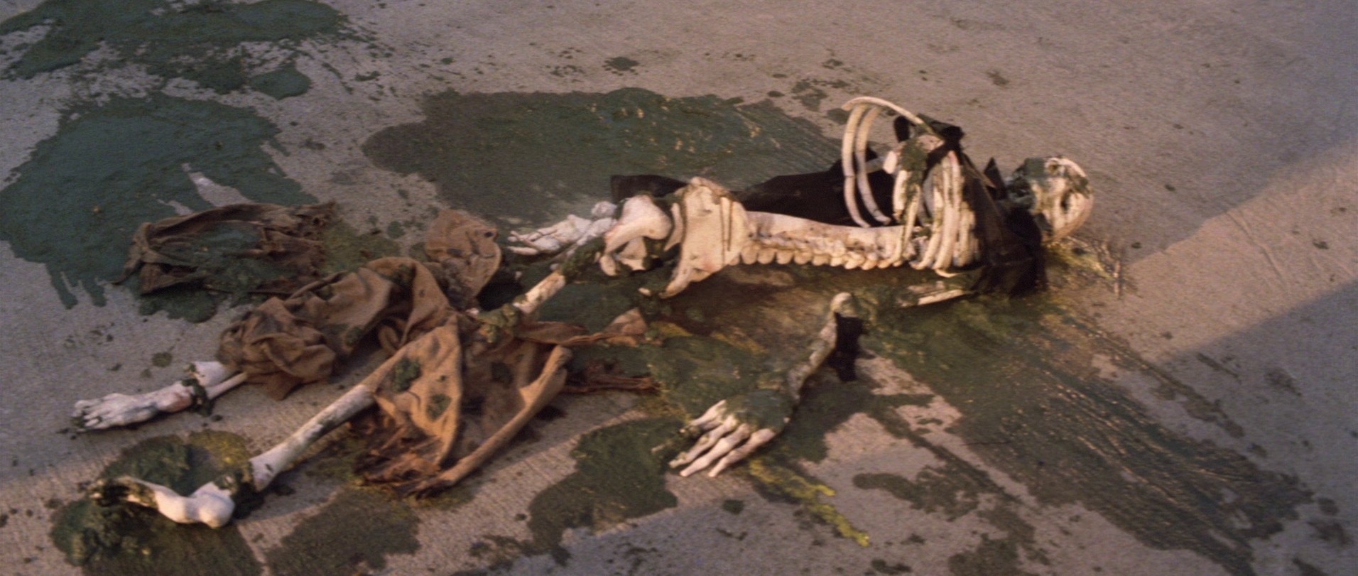 Godzilla vs. Hedorah (1971) —  shot,  lighting