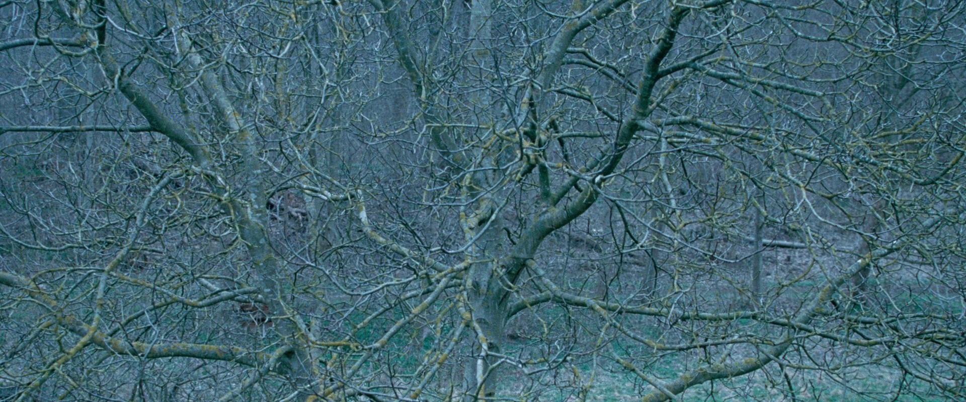 Queen of Hearts (2019) —  shot,  lighting