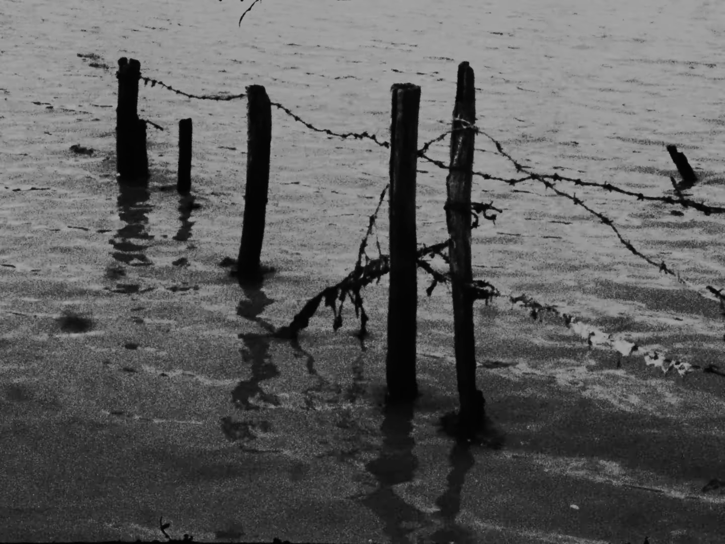 Barbed Wire (2025) —  shot,  lighting