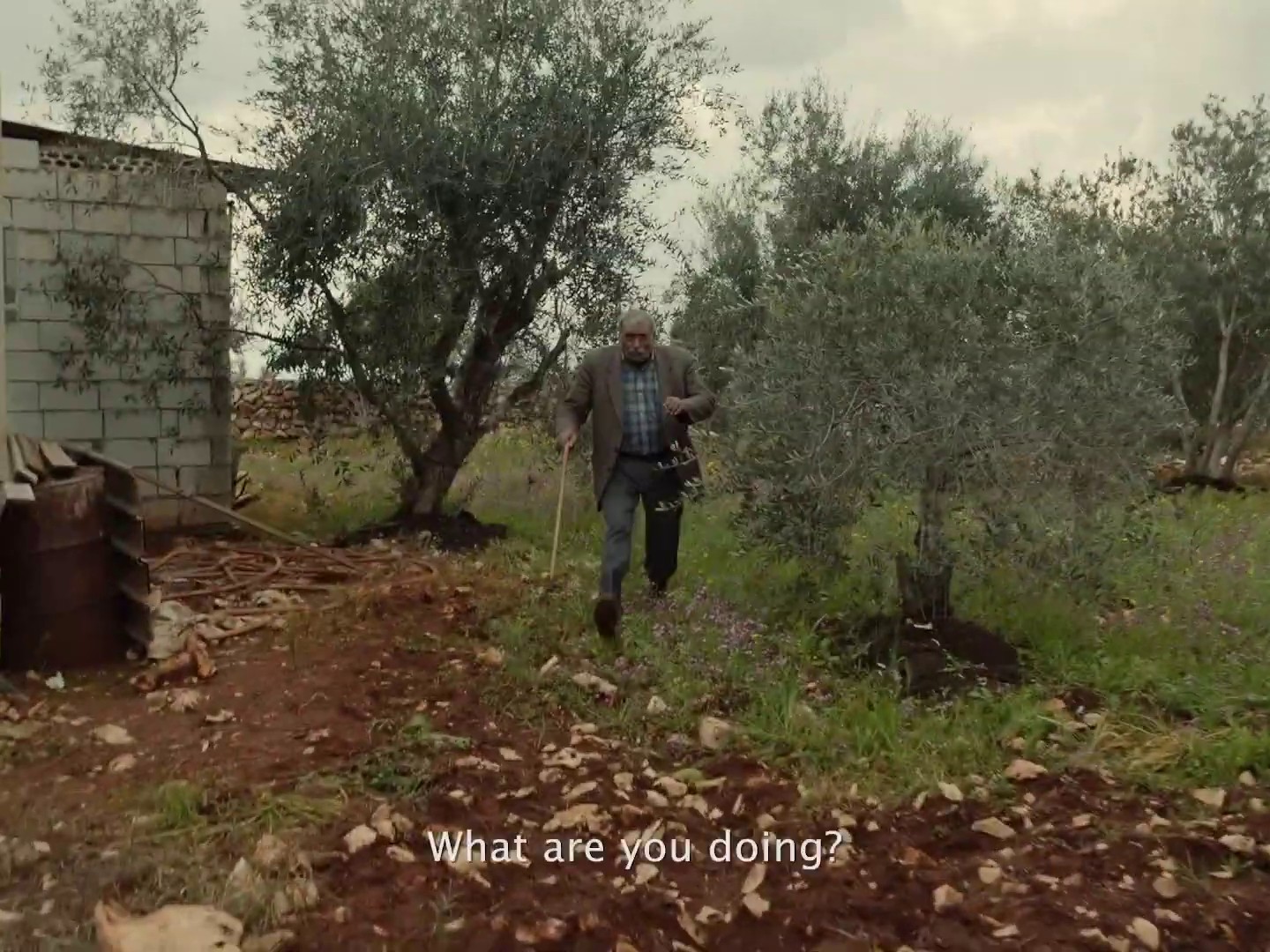 Cavalry (2019) —  shot,  lighting