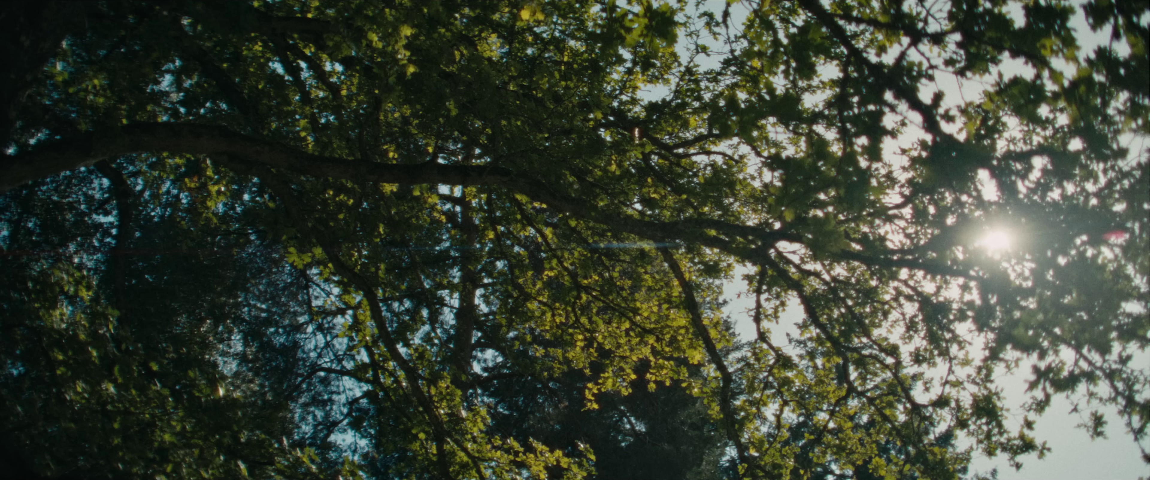 Retiens tes rêves (2023) —  shot,  lighting