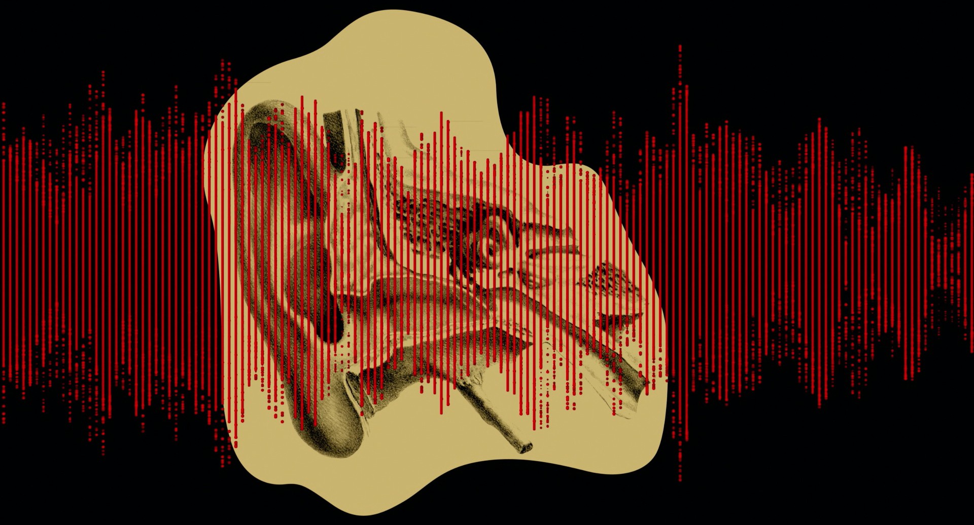 Pain and Glory (2019) —  shot,  lighting