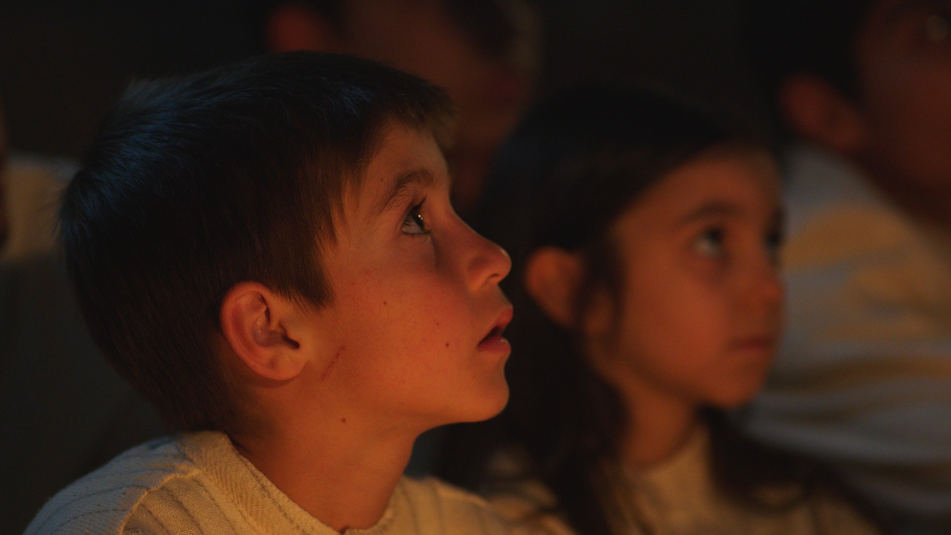 Lost Birds (2015) —  shot,  lighting