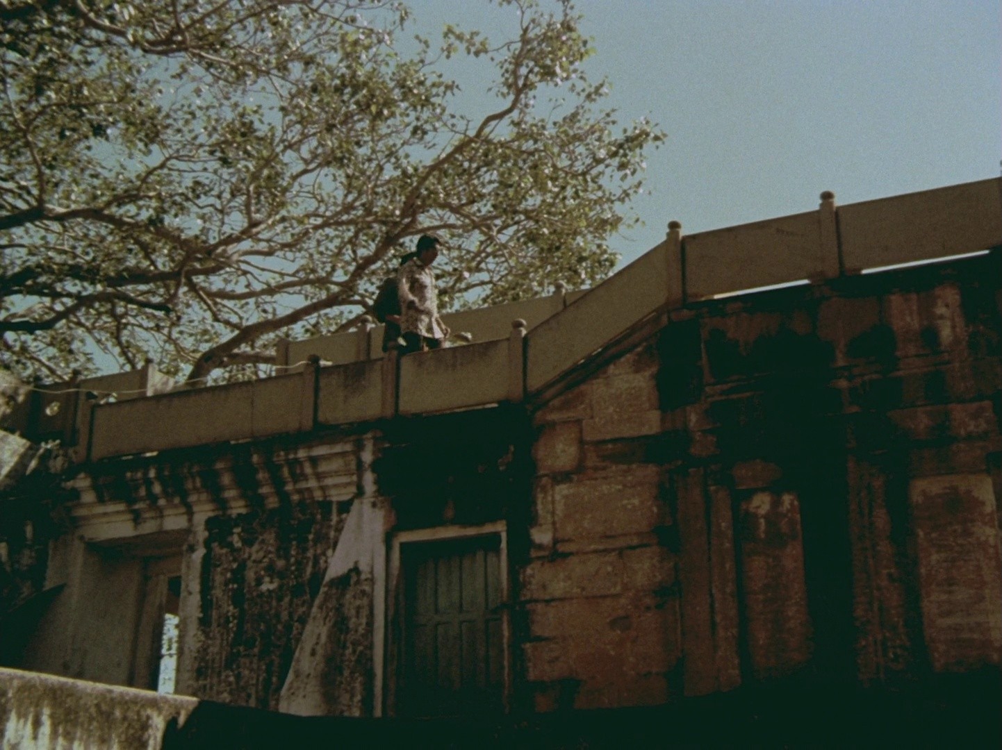 Joi Baba Felunath: The Elephant God (1979) —  shot,  lighting