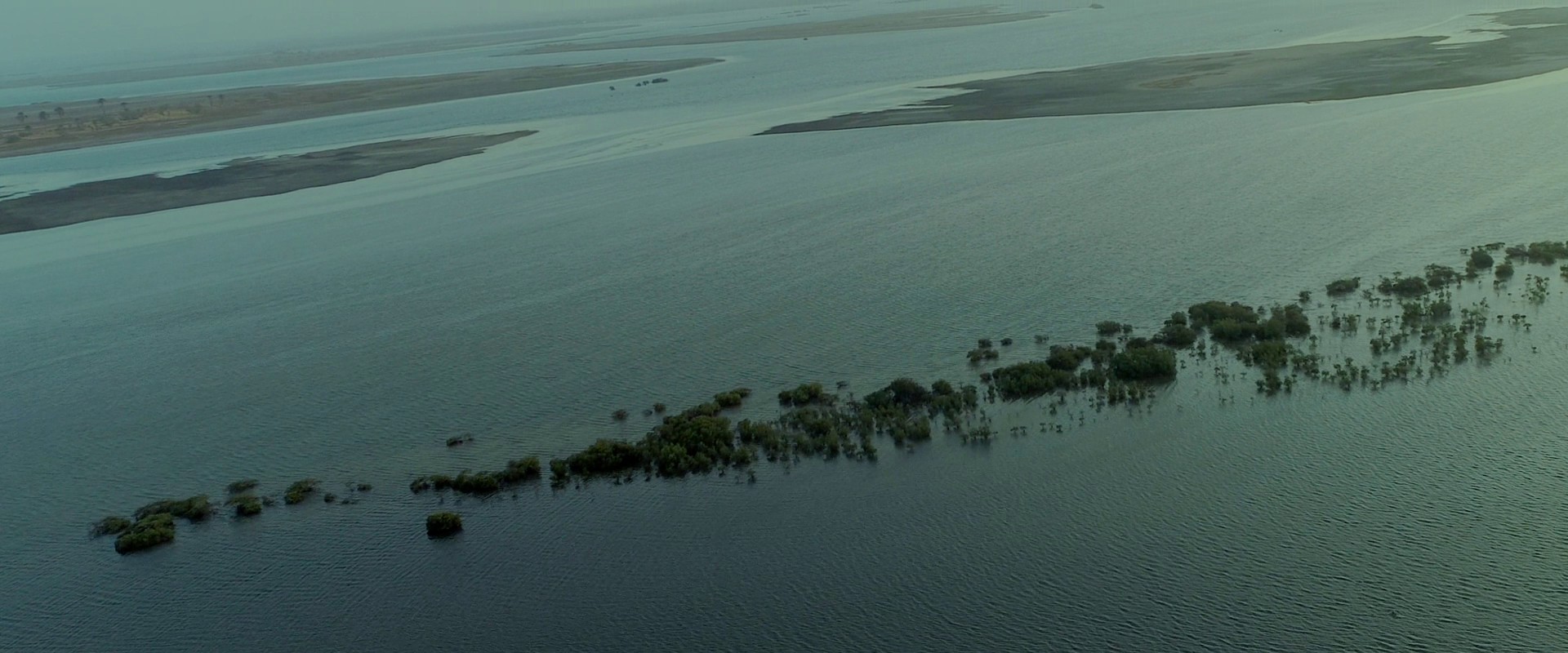 Saloum (2022) —  shot,  lighting